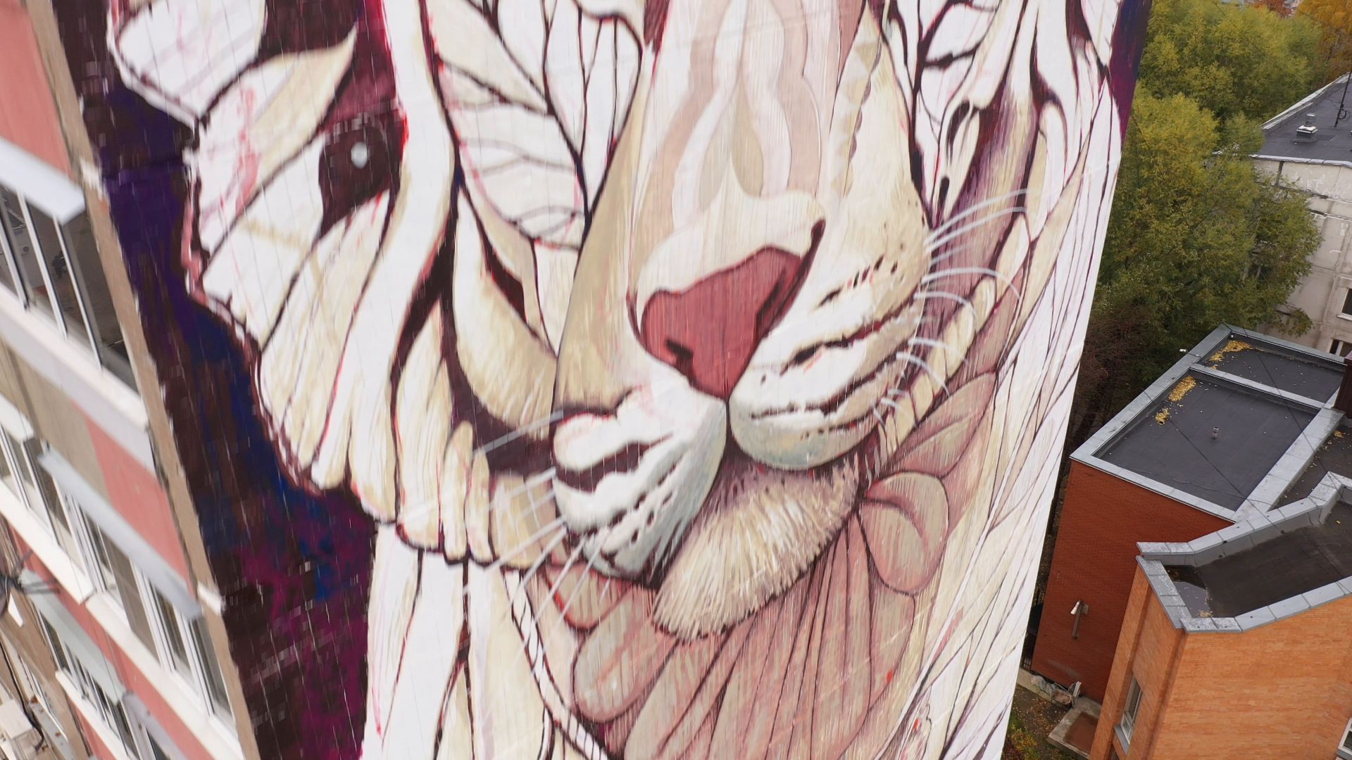 видео с коптера, балашиха,