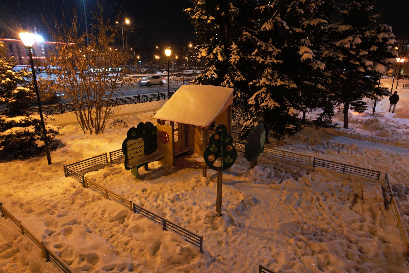 видео с коптера, зима, парк, сквер,