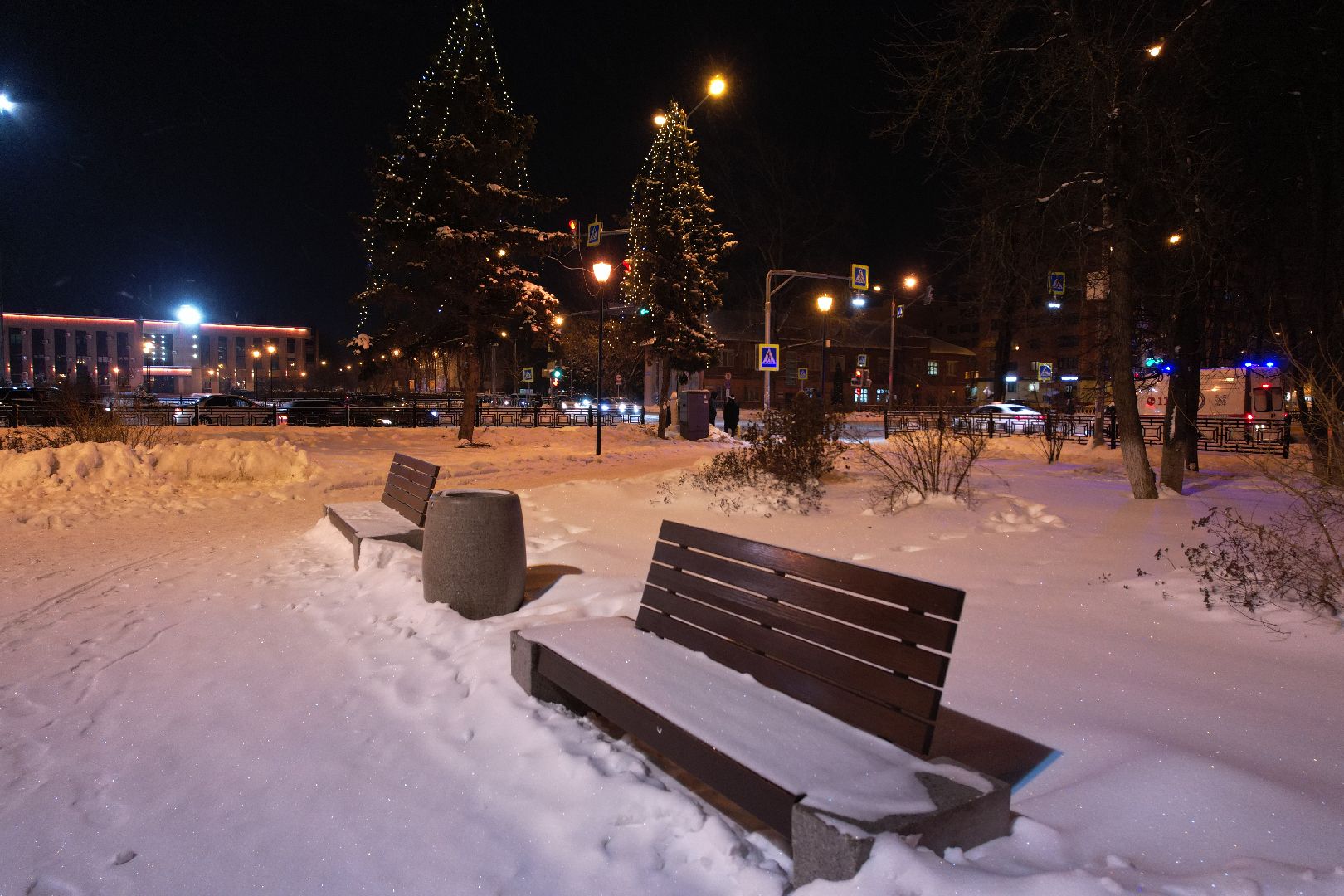 видео с коптера, зима, парк, сквер,