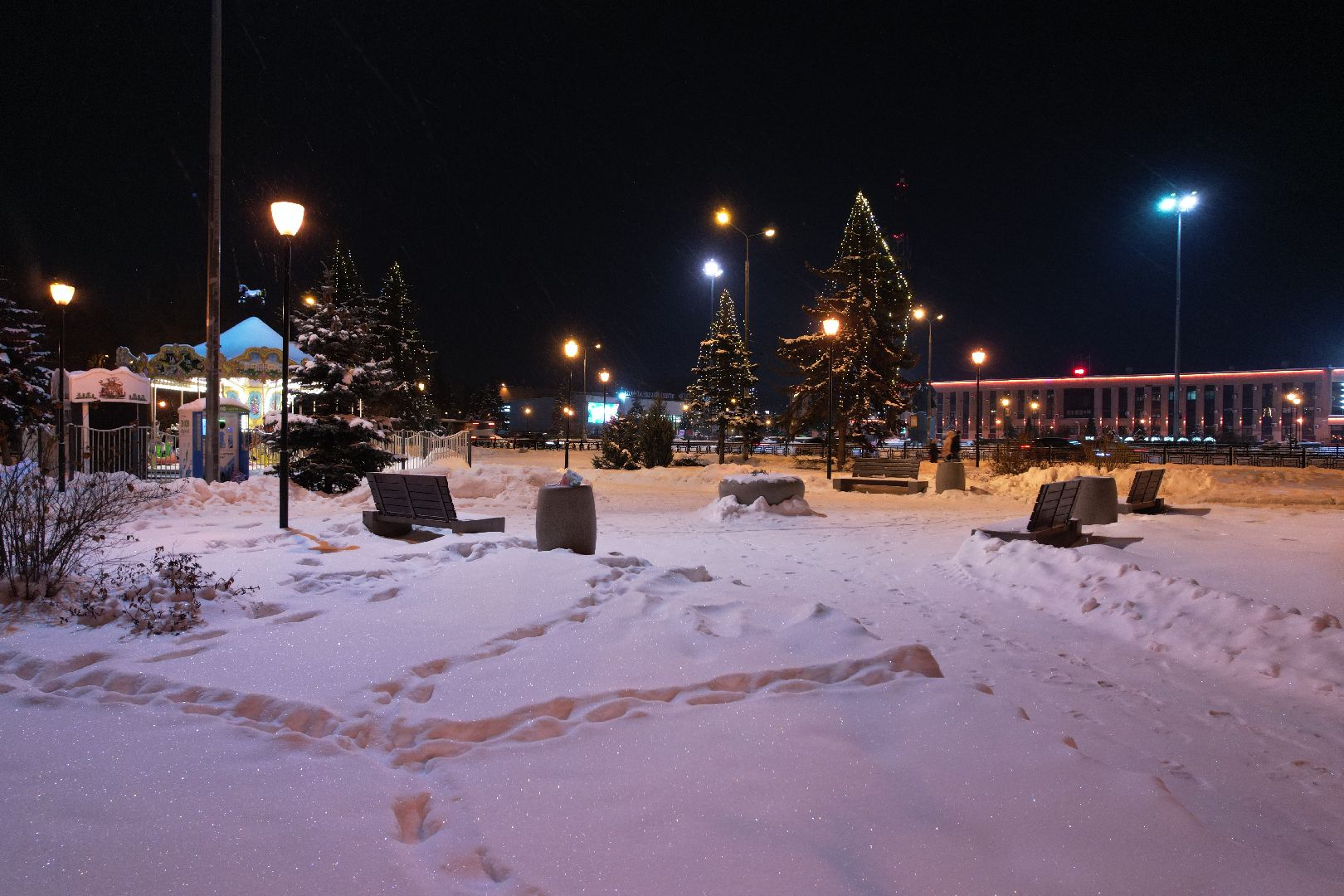 видео с коптера, зима, парк, сквер,