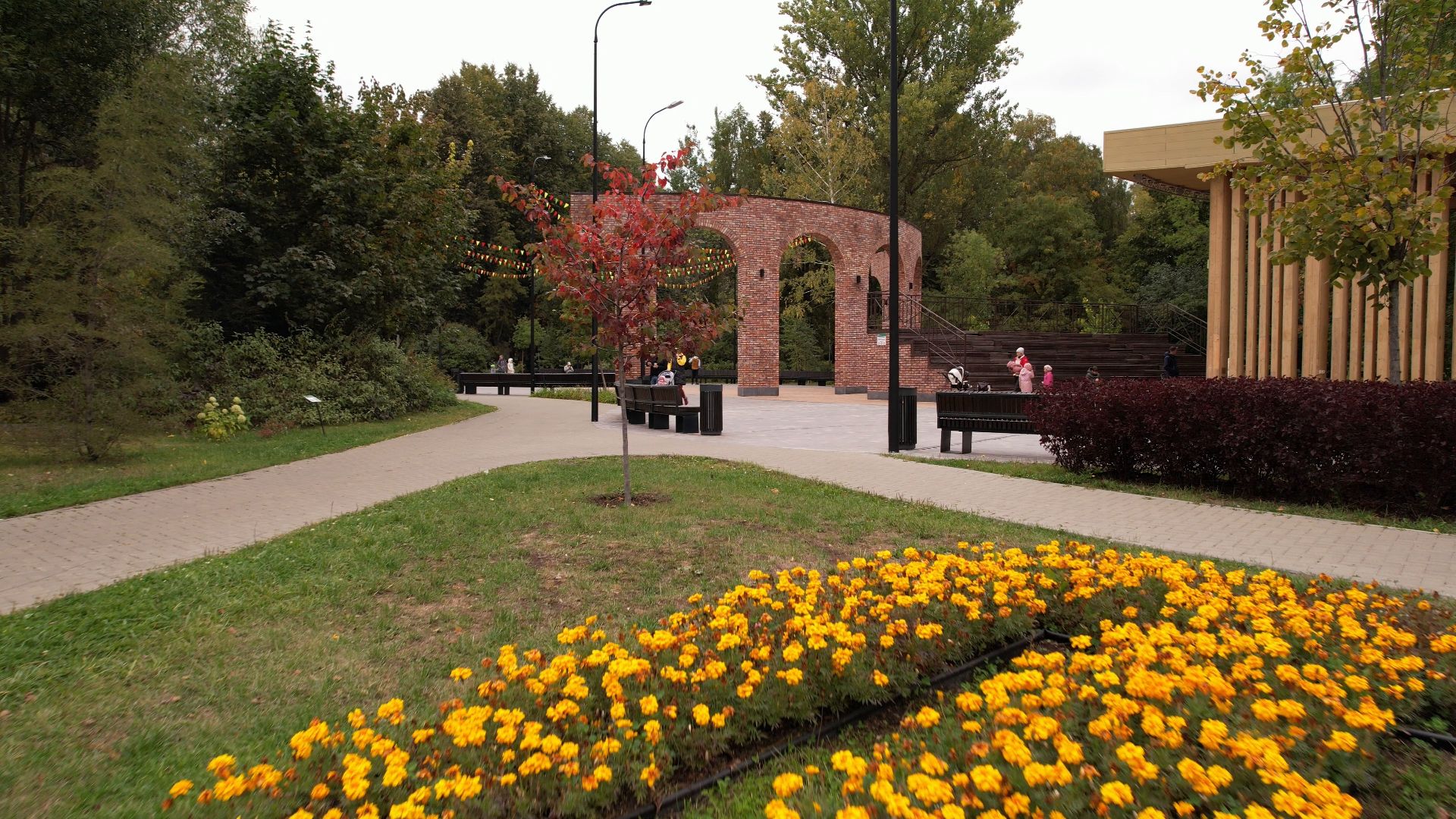 видео с коптера, парк, мытищи,