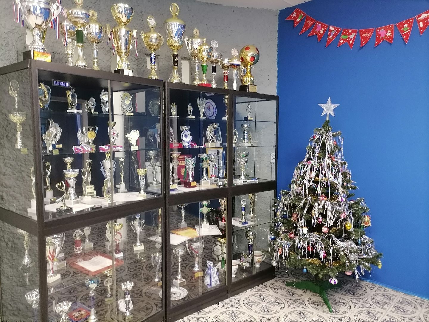 спорт подмосковья, лыжная трасса, снегоход для прокладки лыжной трассы,