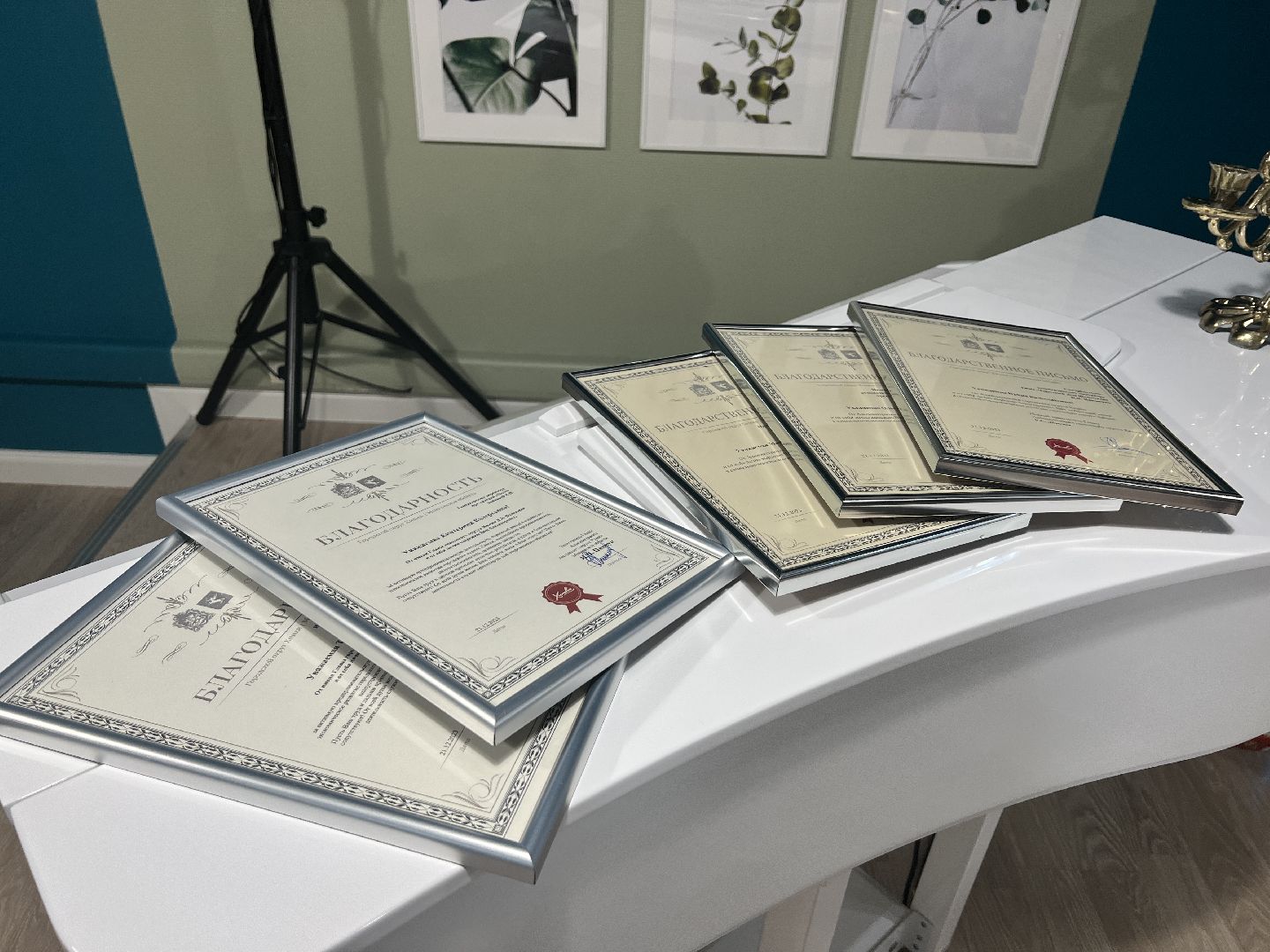 химки, экономика, бизнес, клуб деловых женщин, женщина в бизнесе,