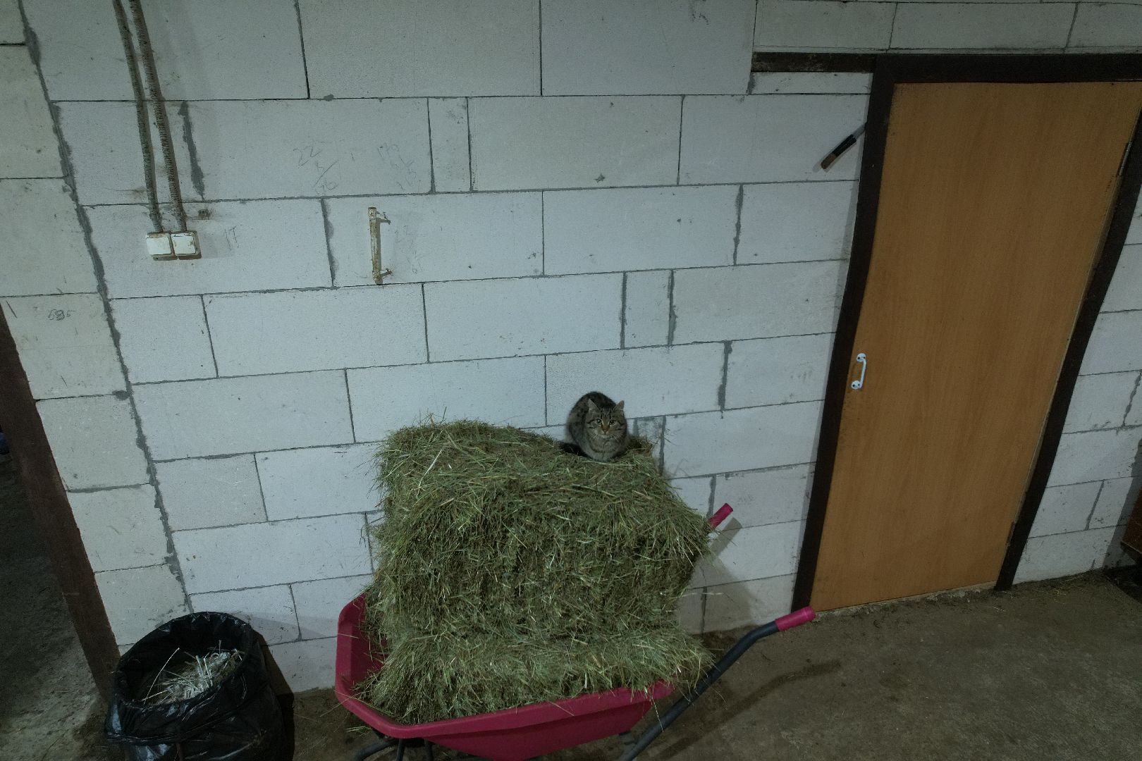 видео с коптера,