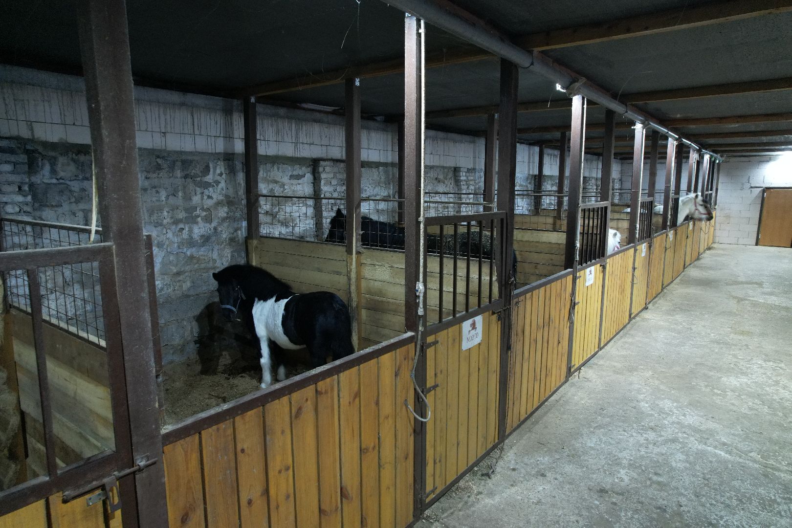 видео с коптера,