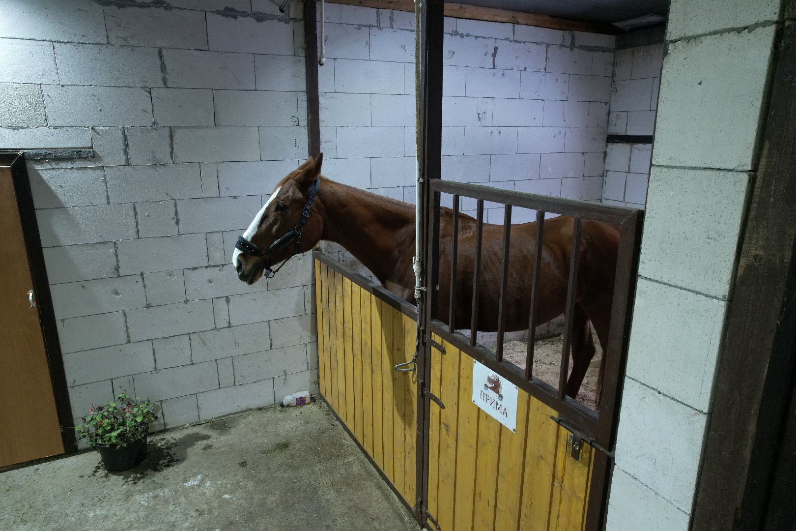 видео с коптера,