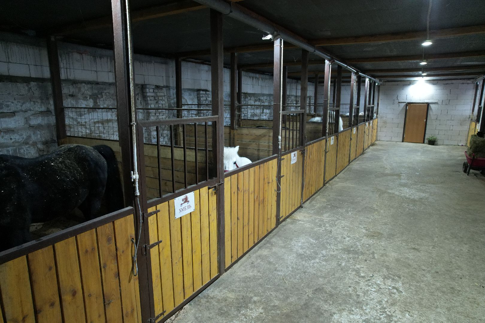 видео с коптера,