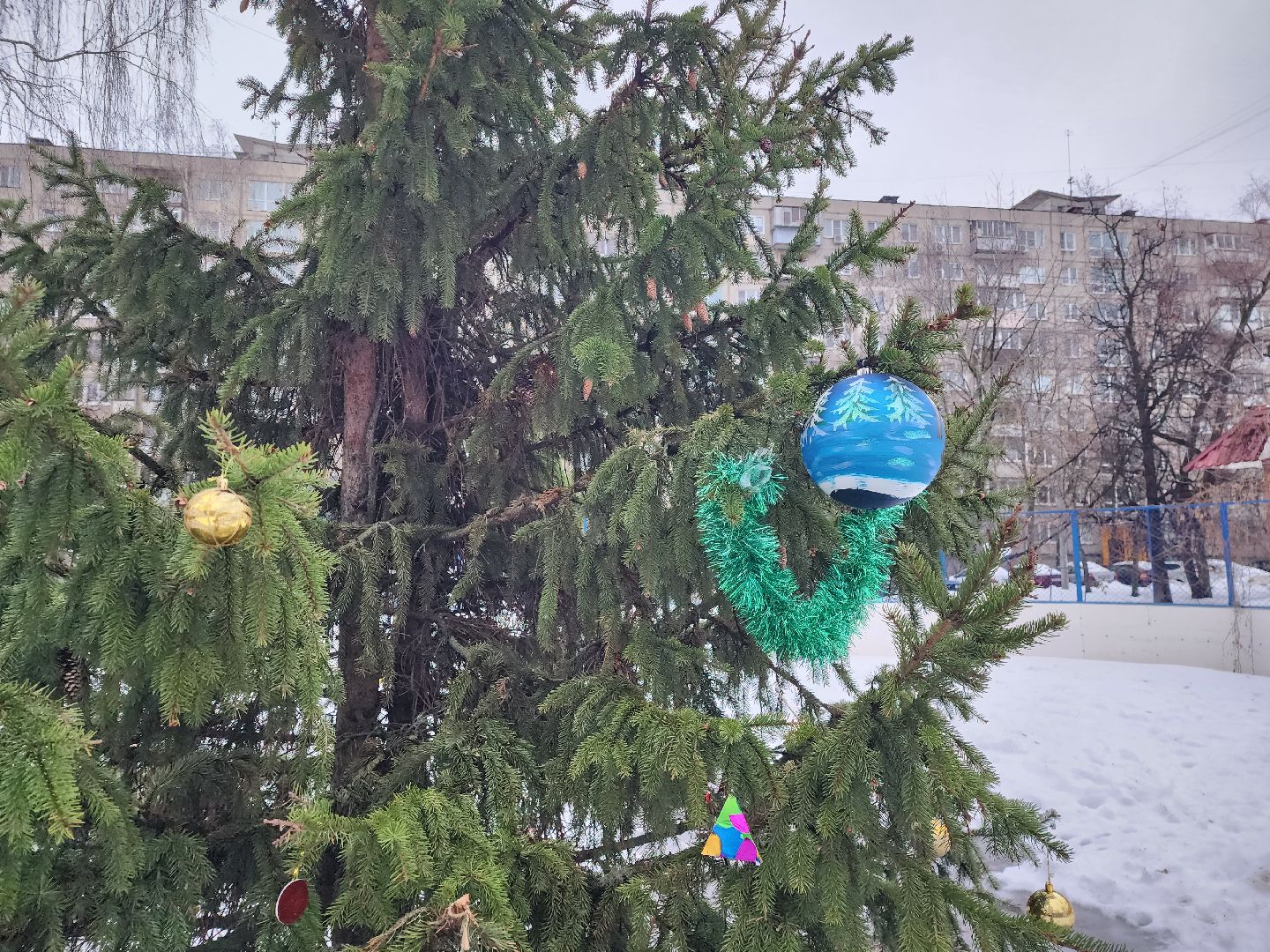 елка, кочующая, Город-сад, Пушкарева, Молоежная, Звездный сквер,