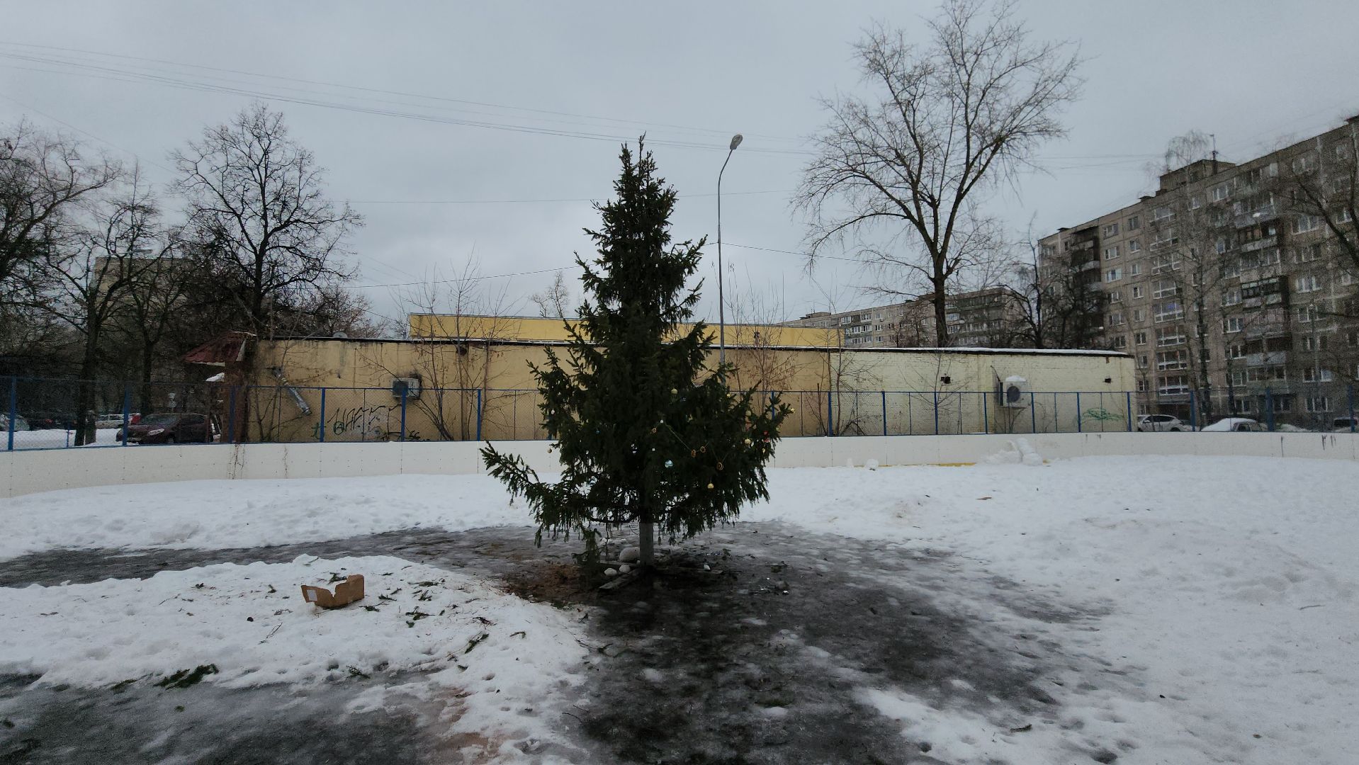 елка, кочующая, Город-сад, Пушкарева, Молоежная, Звездный сквер,