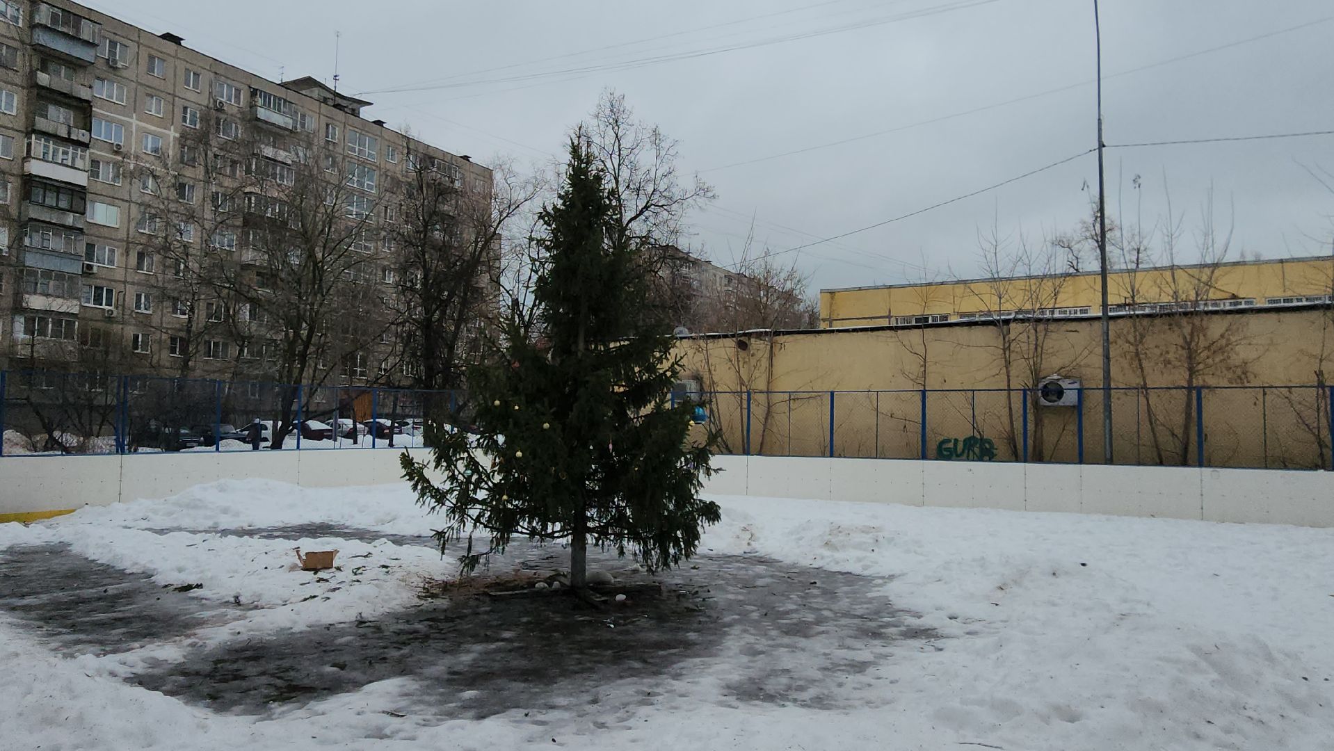 елка, кочующая, Город-сад, Пушкарева, Молоежная, Звездный сквер,