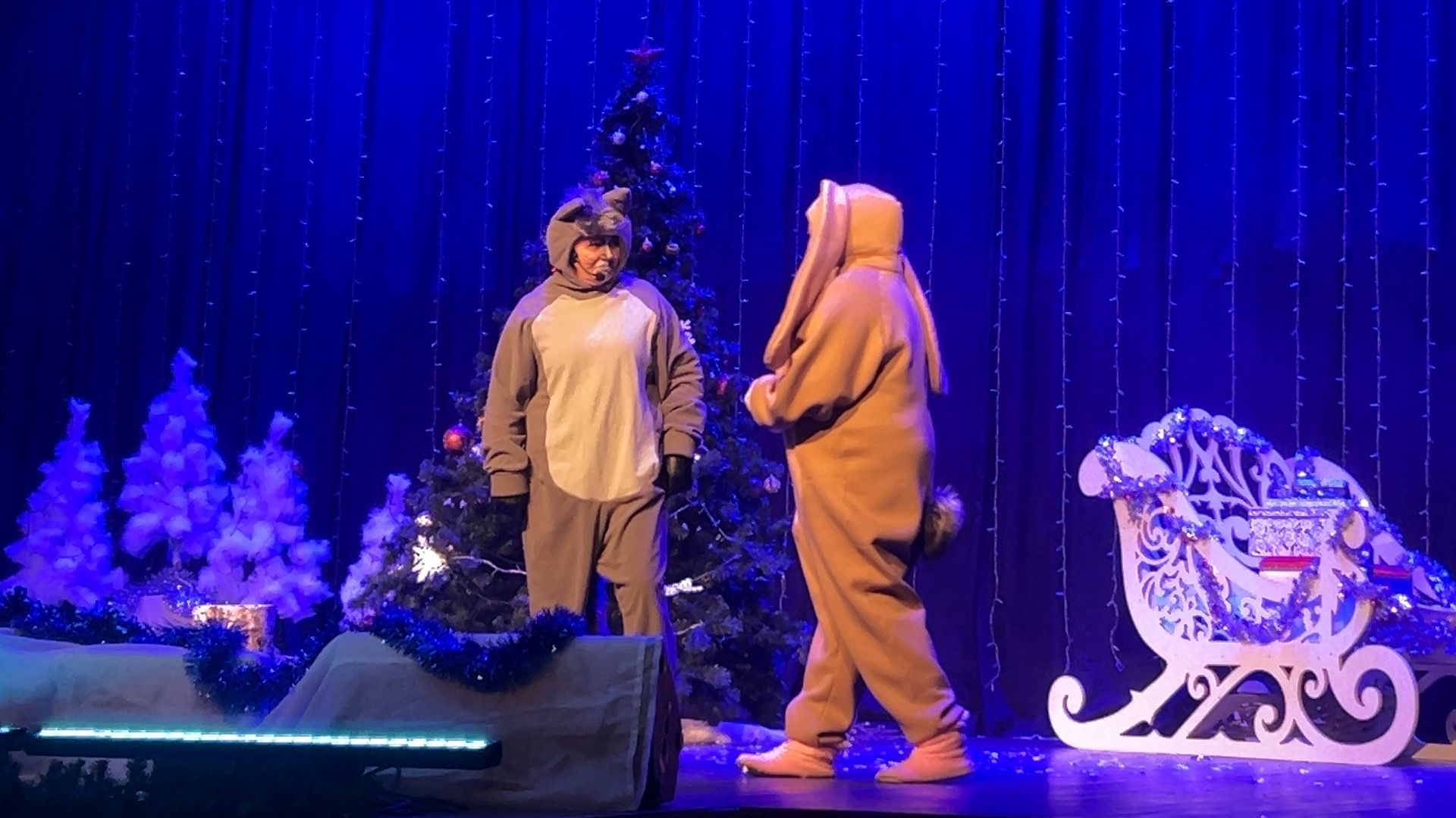 Солнечногорск, Елка, Дети, Спектакль, Новый год,