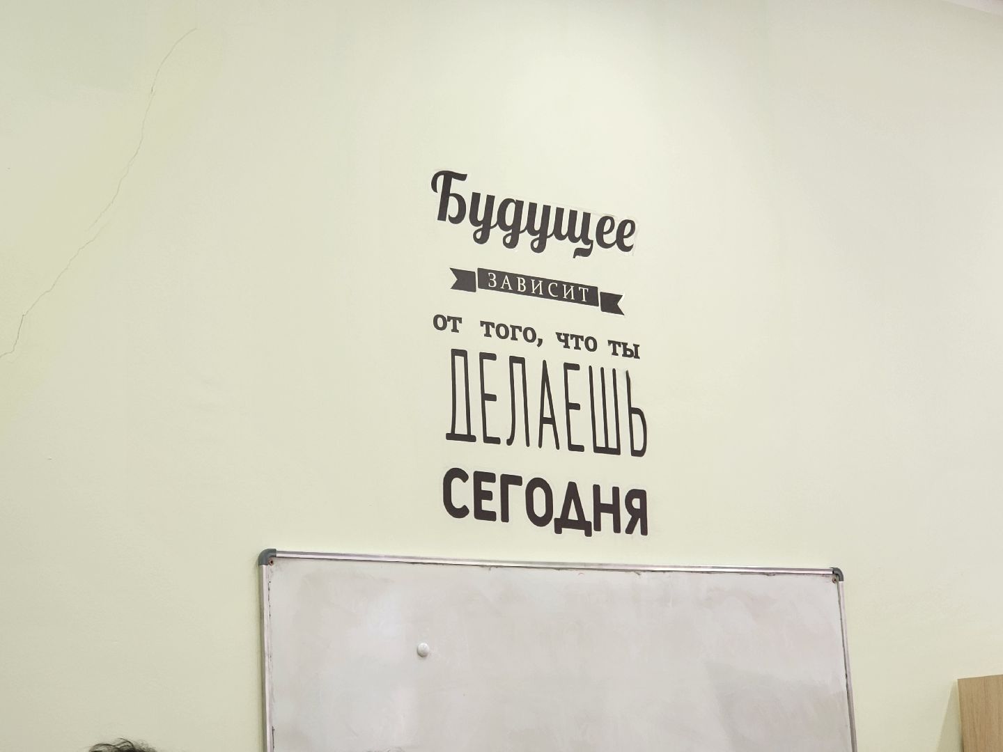 школы, образование, химки, подмосковье,