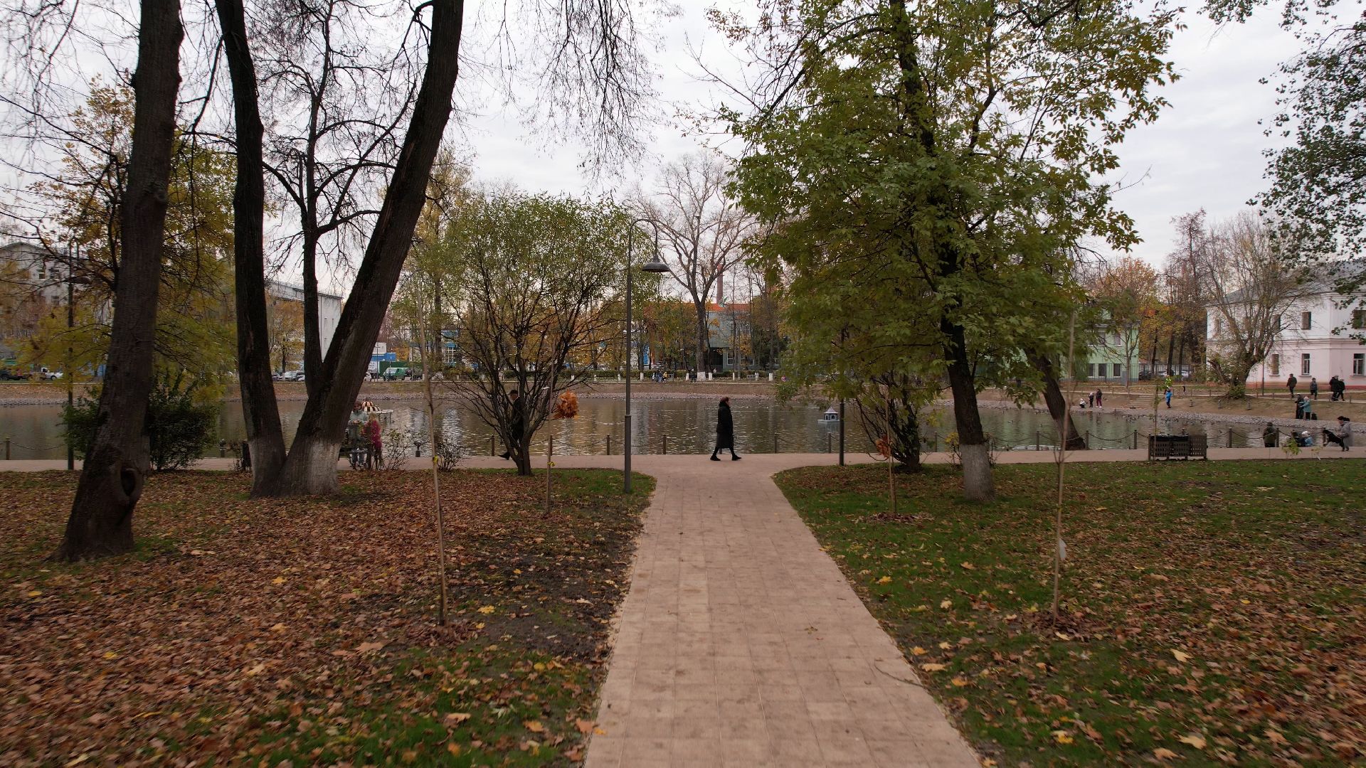 видео с коптера,