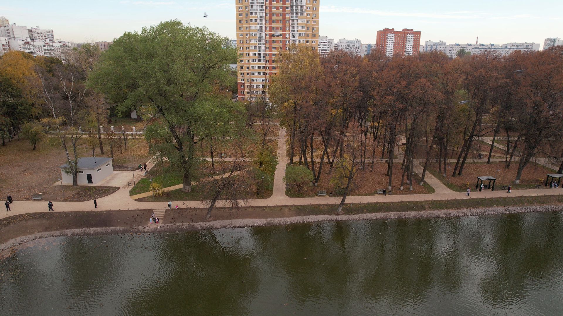 видео с коптера,