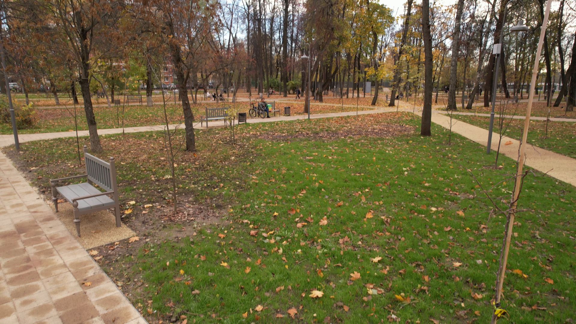 видео с коптера,