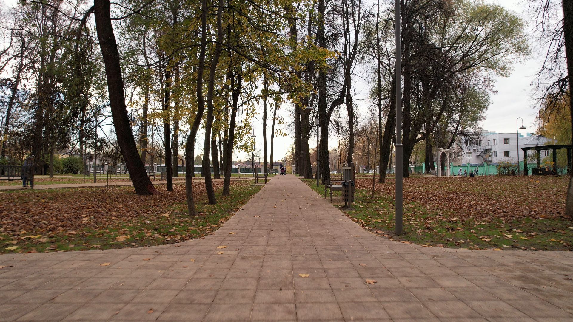 видео с коптера,