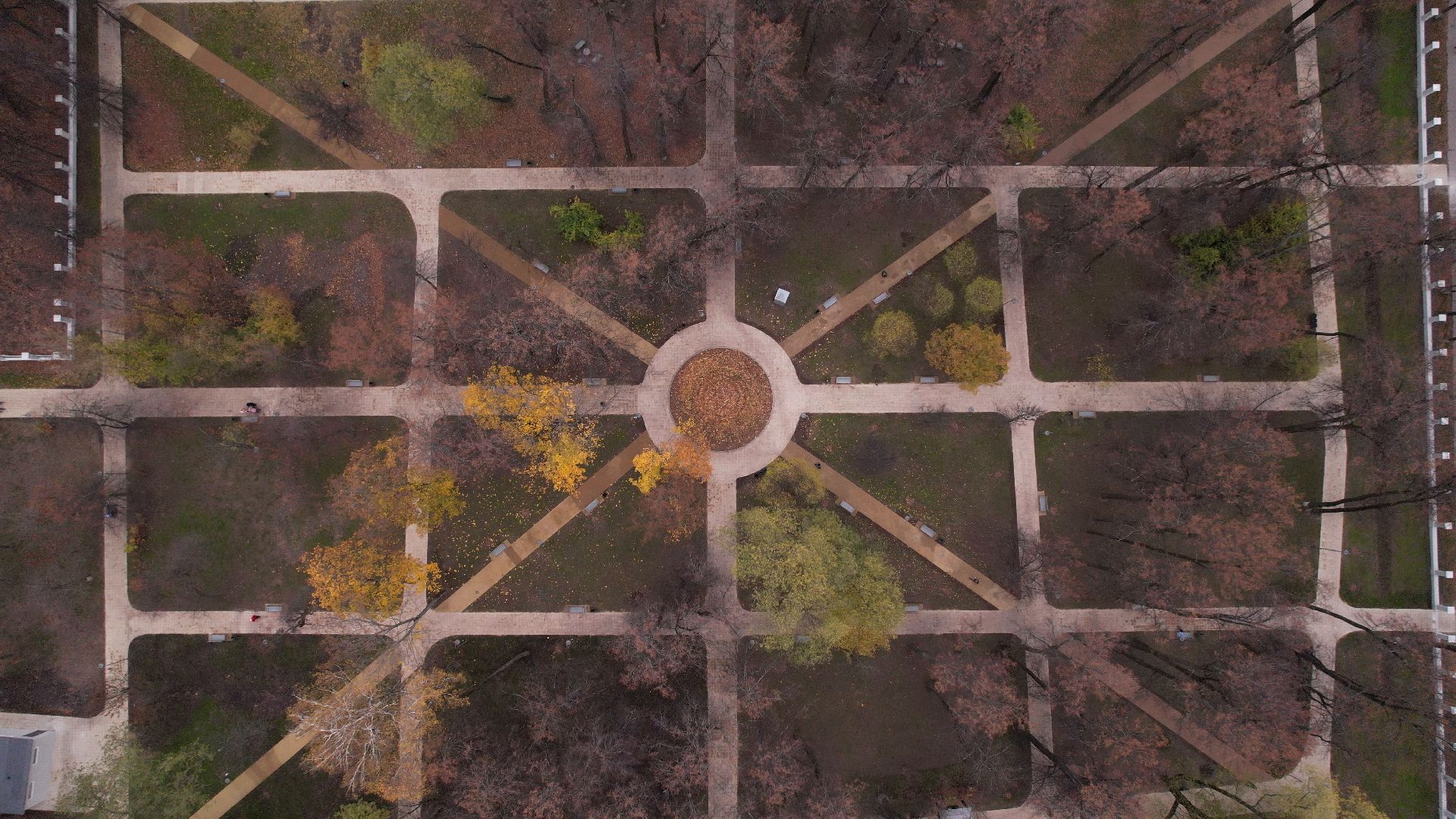 видео с коптера,