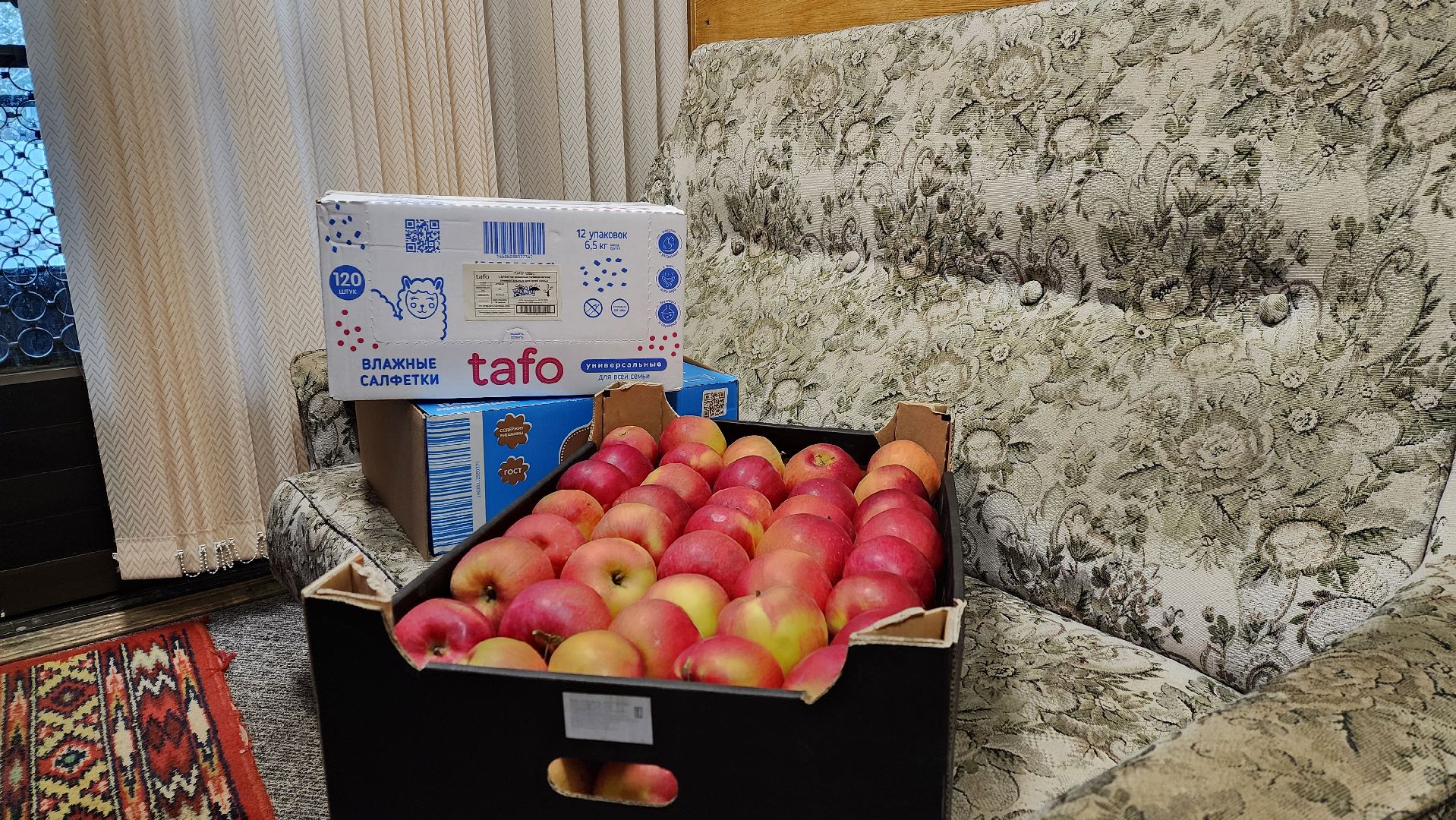 Солнечногорск, полиция, СВО, санаторий Солнечногорский, общество,