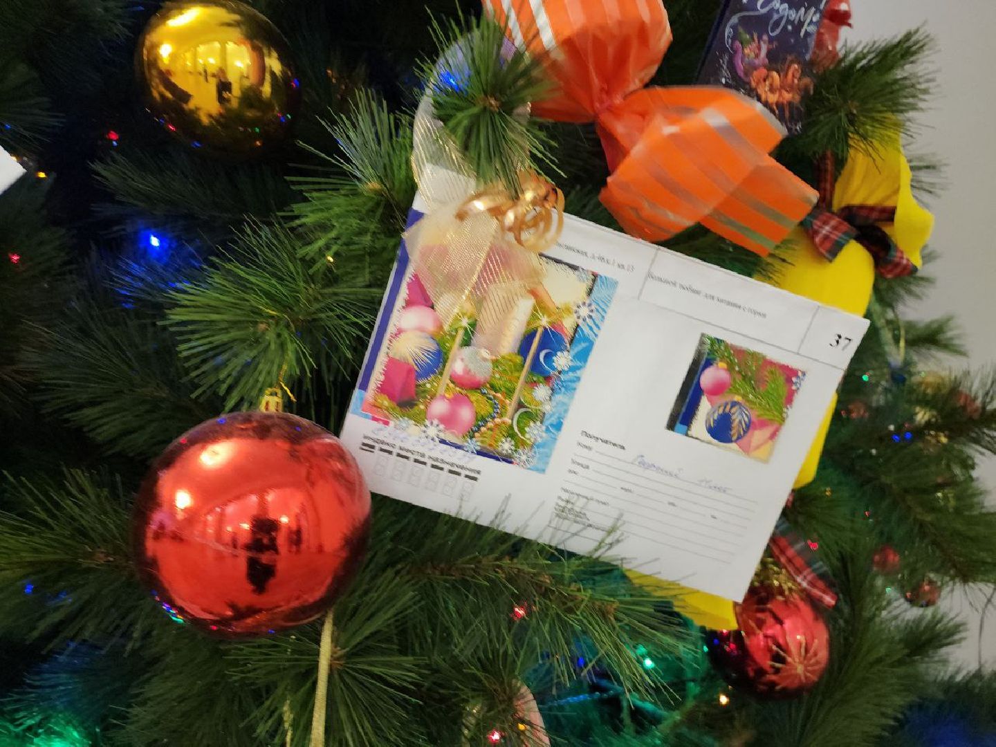 елка желаний, исполни детскую мечту, видное, глава муниципалитета,