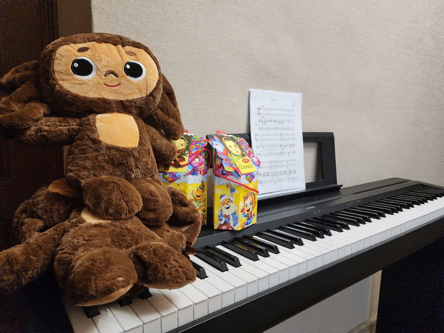 многодетная семья, глава округа, Поздравление, Снмья, Новый год,