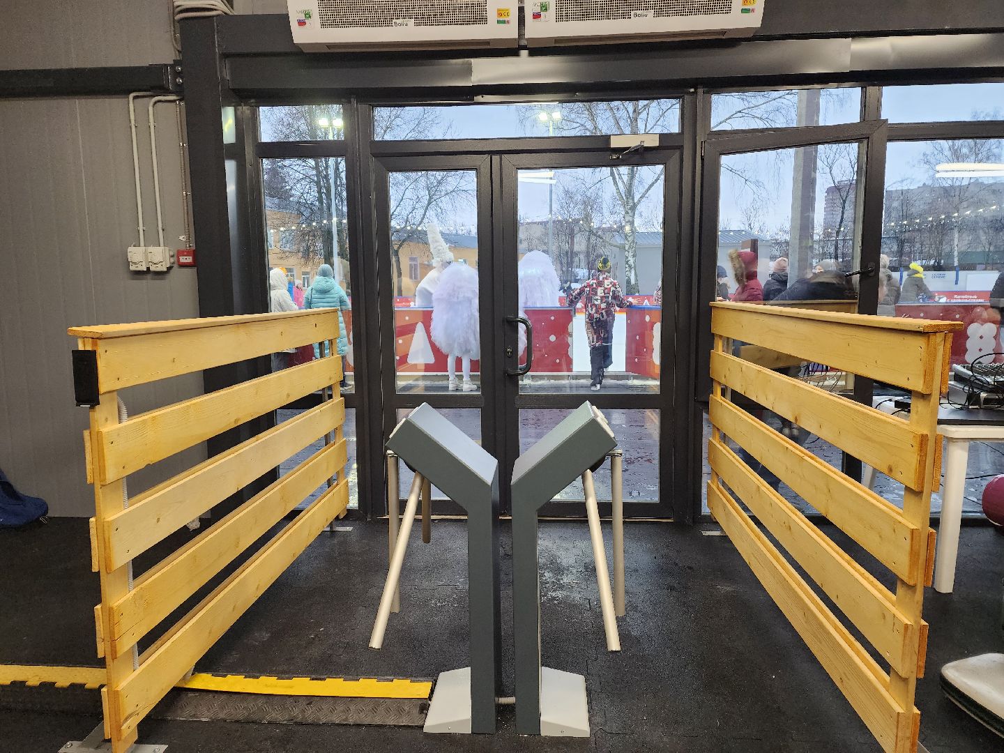 пушкино, каток в парке, дети, лед, артисты,