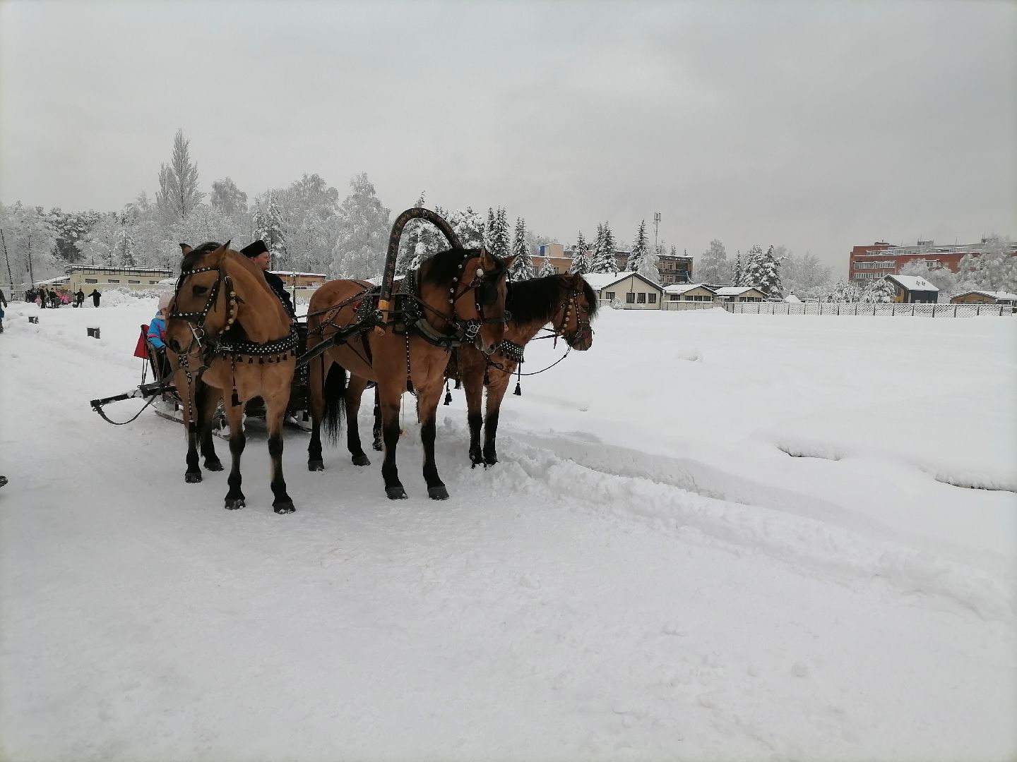 благотворительность, елка для детей, орехово зуево,