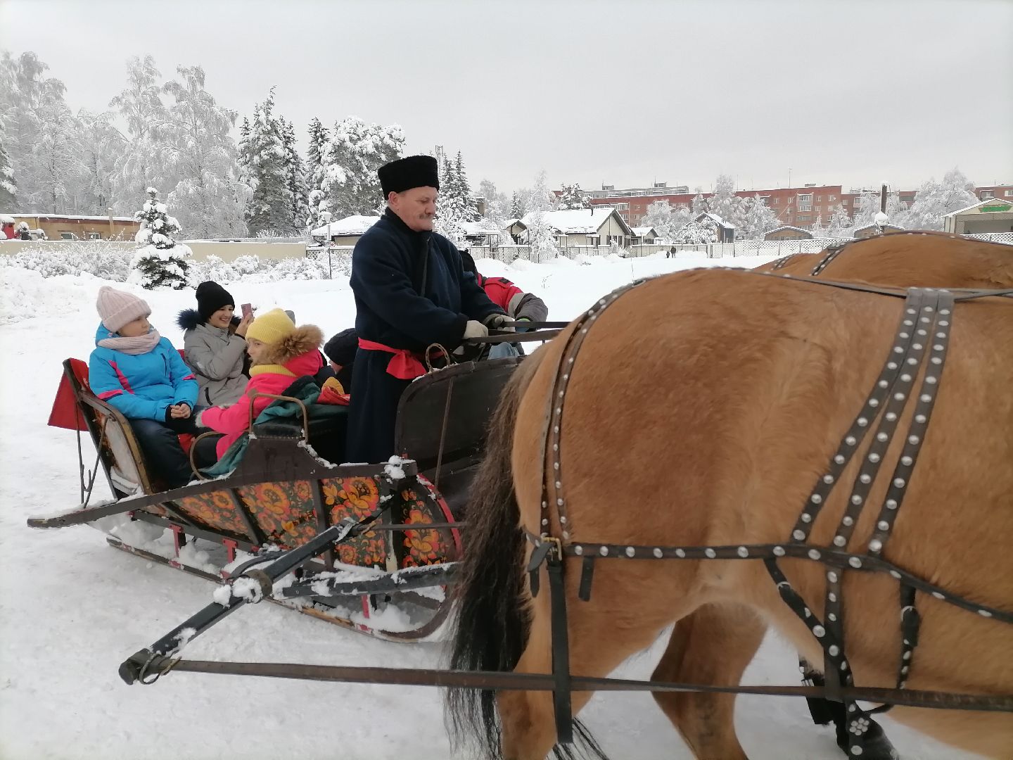 благотворительность, елка для детей, орехово зуево,