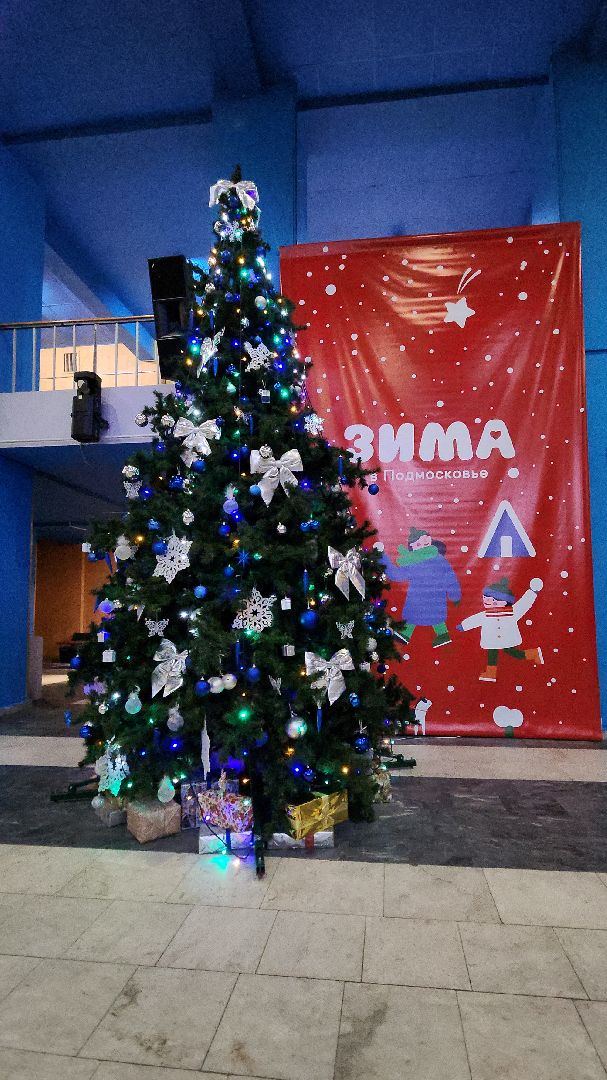 ёлка, елка главы, елка для детей, электросталь, мой город, культура, новый год, праздник, дети, театр, театр кошек,