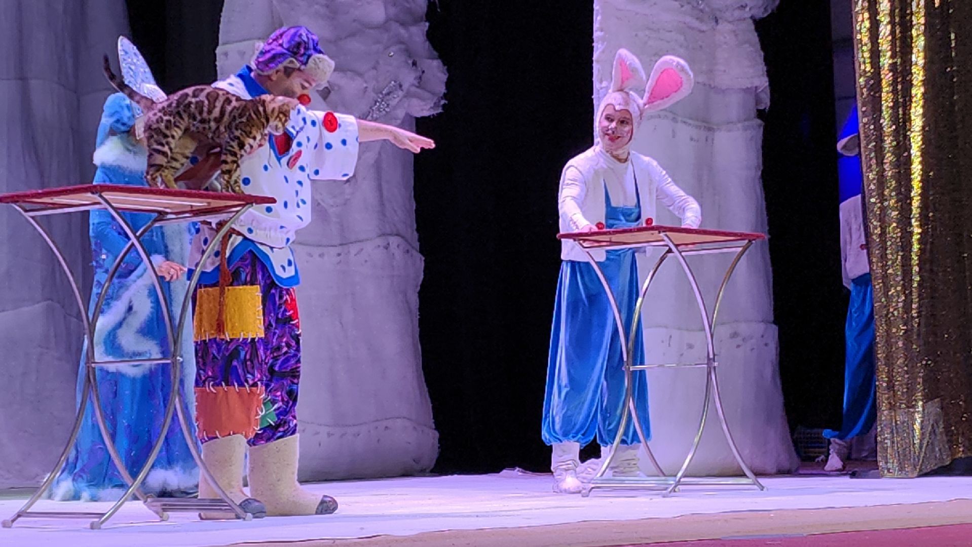 ёлка, елка главы, елка для детей, электросталь, мой город, культура, новый год, праздник, дети, театр, театр кошек,