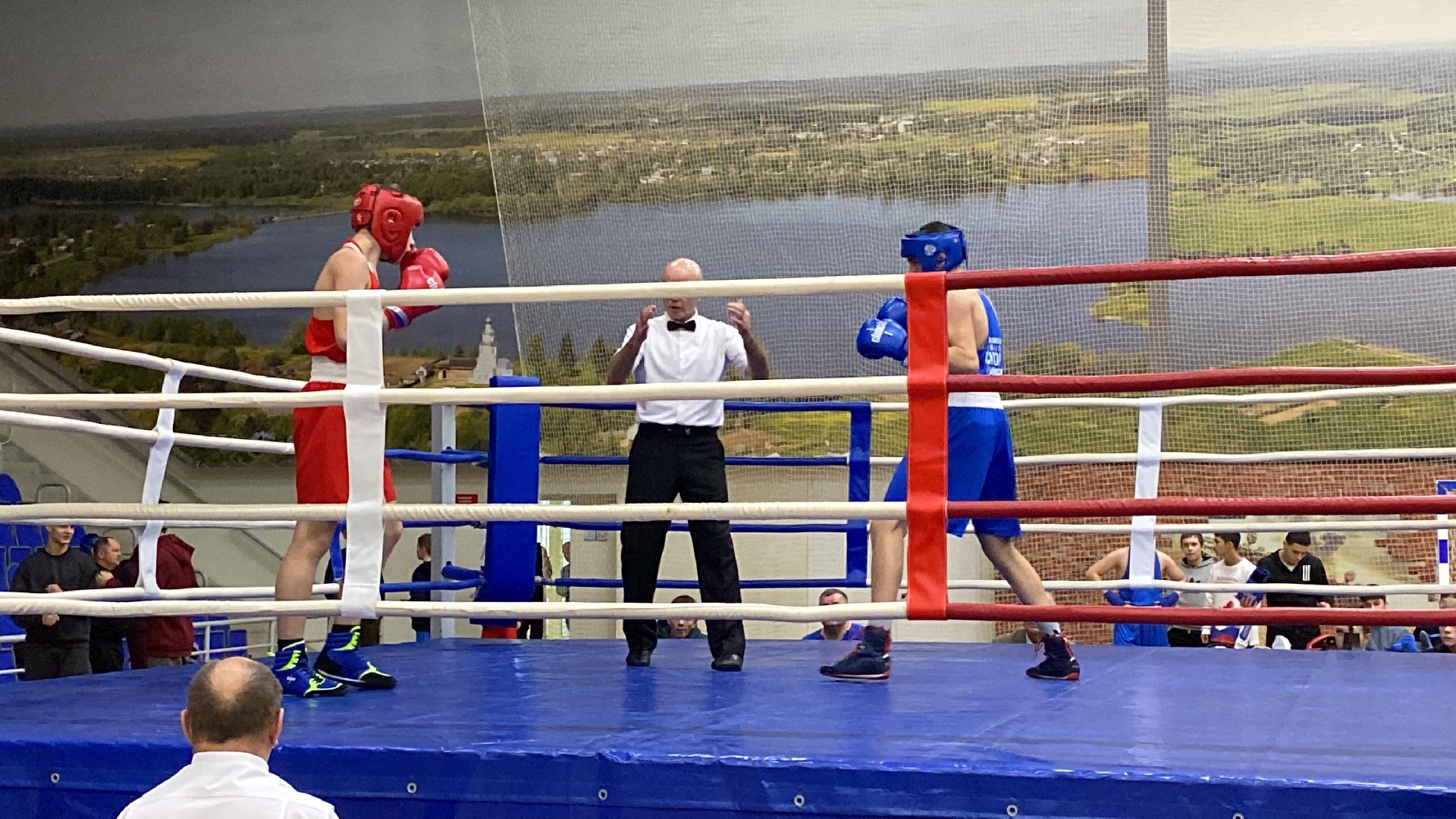 волоколамск, спорт, бокс, боксеры, соревнования, турнир, спортзал,