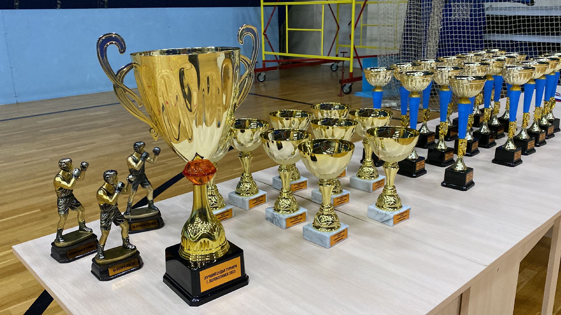 волоколамск, спорт, бокс, боксеры, соревнования, турнир, спортзал,