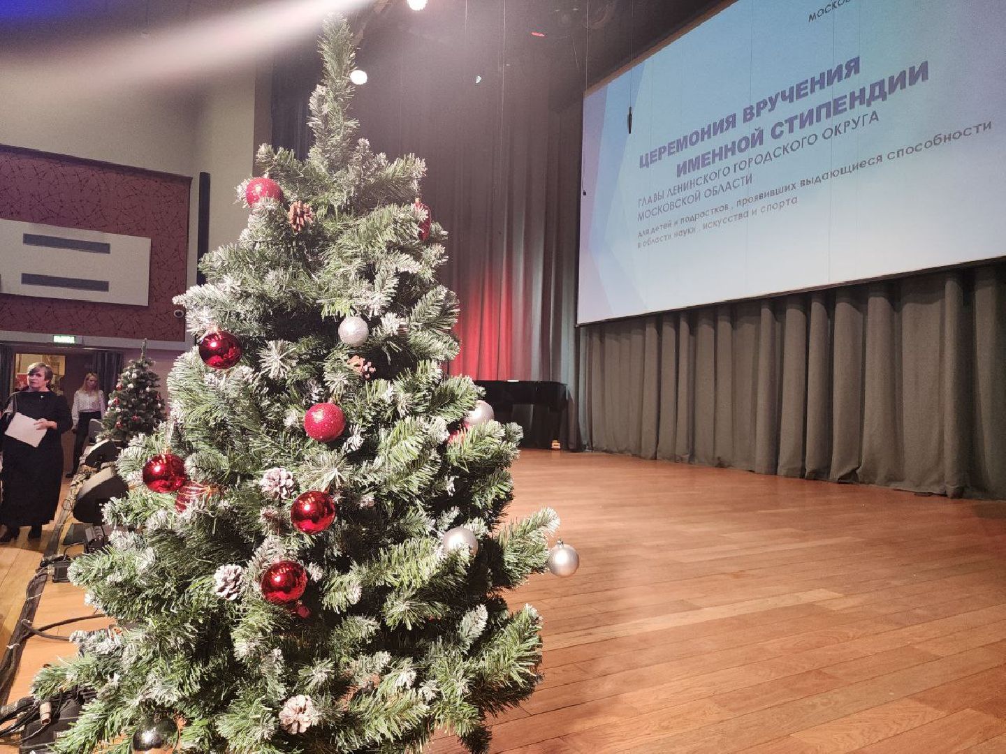 стипендия главы, ленинский округ, видное, за отличие, награждение,