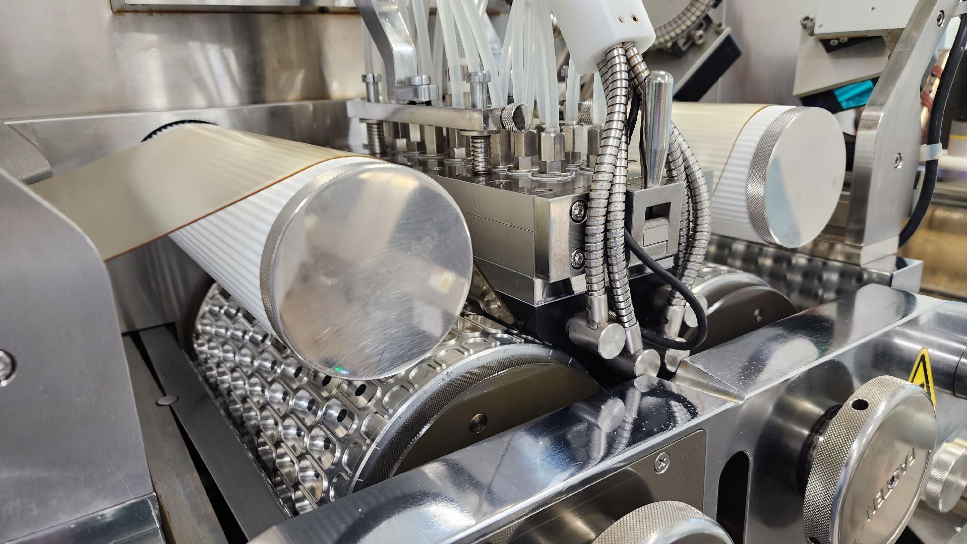 БАД, производство, экономика, экспортный формаж, государственная поддержка, Лосино-Петровский, Подмосковье,