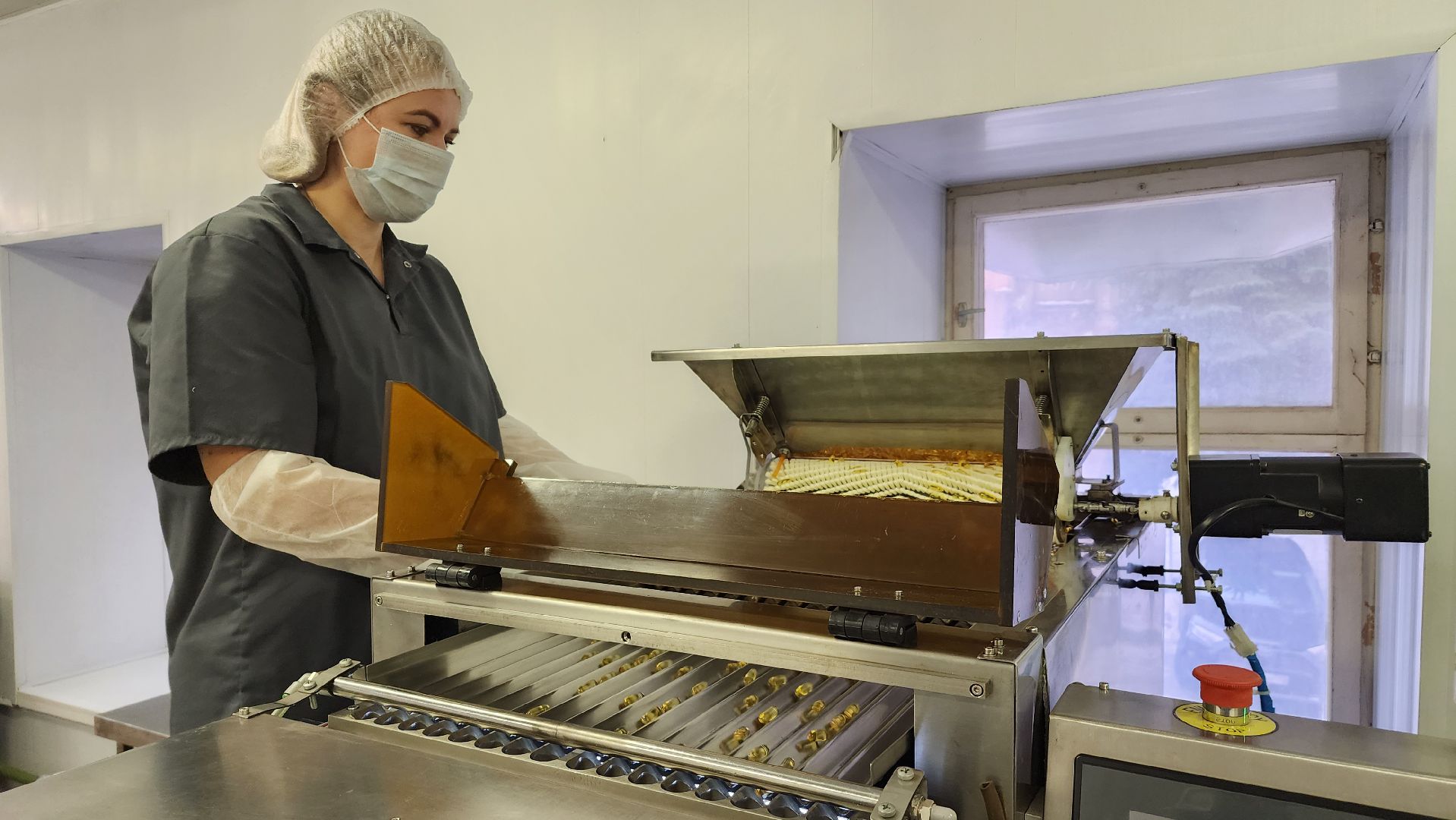 БАД, производство, экономика, экспортный формаж, государственная поддержка, Лосино-Петровский, Подмосковье,