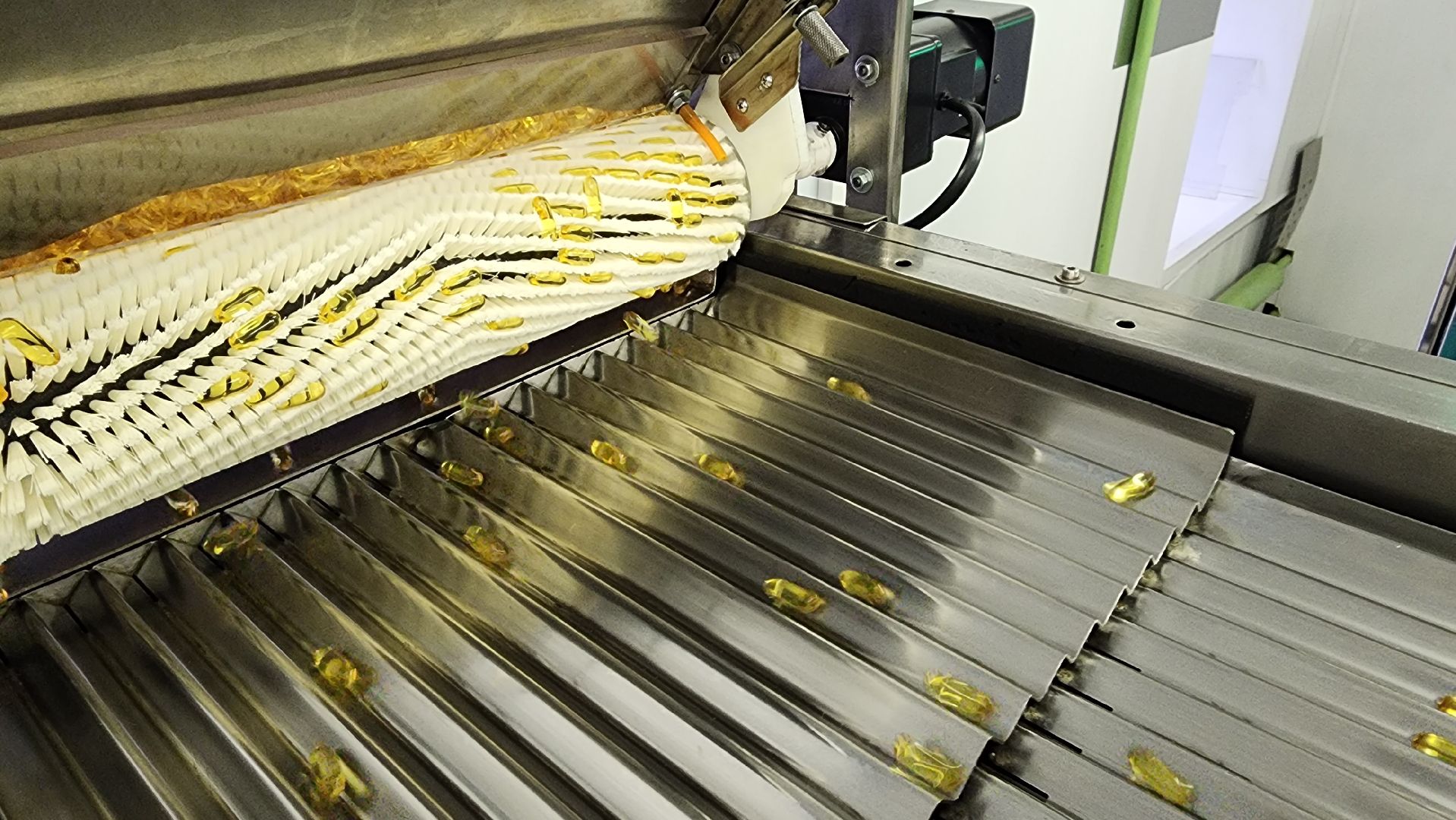 БАД, производство, экономика, экспортный формаж, государственная поддержка, Лосино-Петровский, Подмосковье,