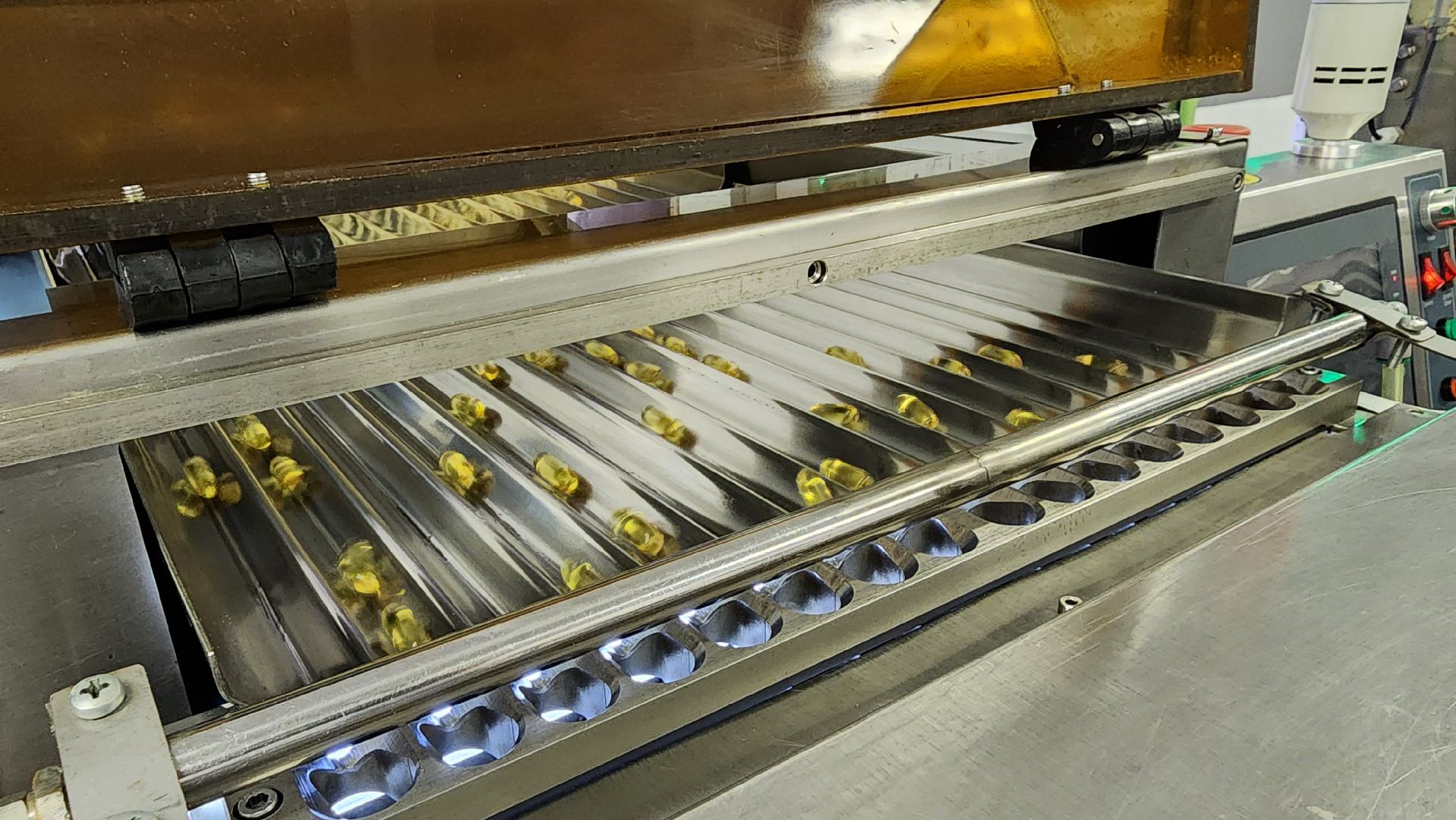 БАД, производство, экономика, экспортный формаж, государственная поддержка, Лосино-Петровский, Подмосковье,