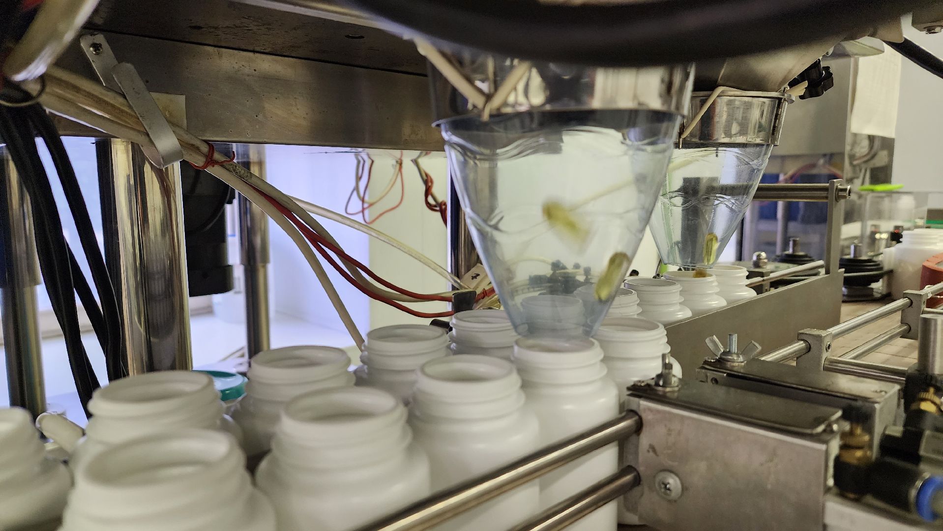 БАД, производство, экономика, экспортный формаж, государственная поддержка, Лосино-Петровский, Подмосковье,