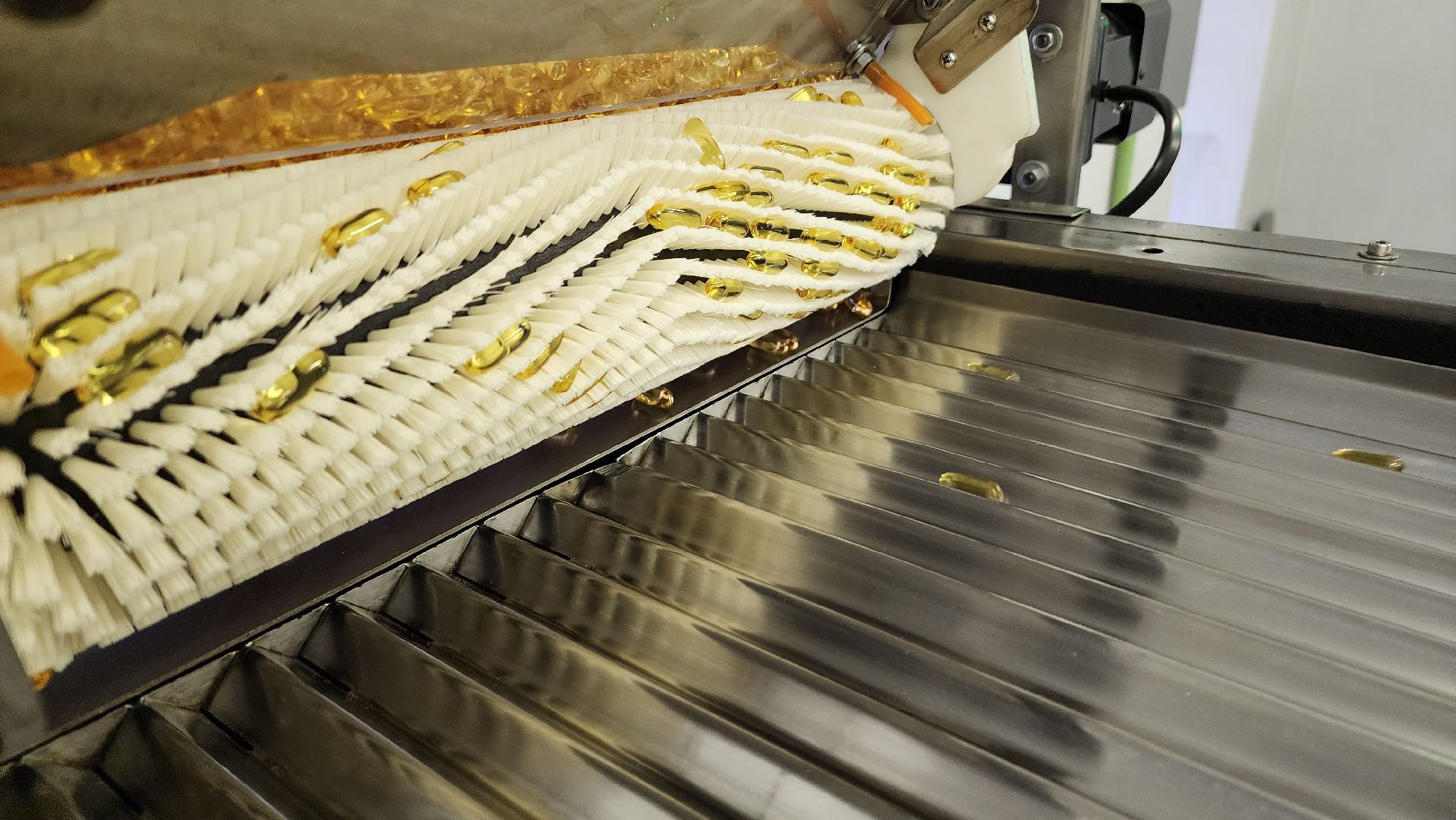 БАД, производство, экономика, экспортный формаж, государственная поддержка, Лосино-Петровский, Подмосковье,