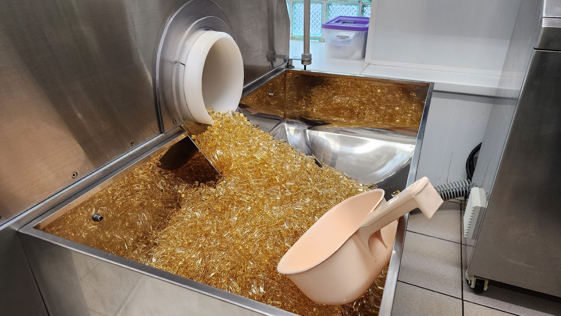 БАД, производство, экономика, экспортный формаж, государственная поддержка, Лосино-Петровский, Подмосковье,