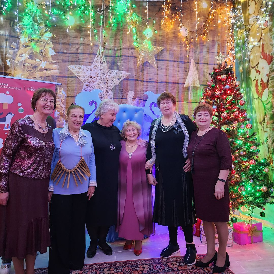 резиденция деда мороза, егорьевск, подмосковье, московская область, пегас,