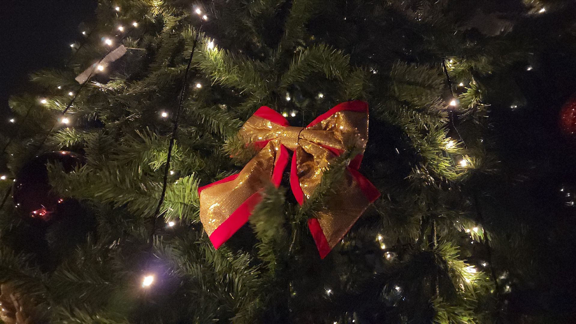 ступино, новый год, ёлка,