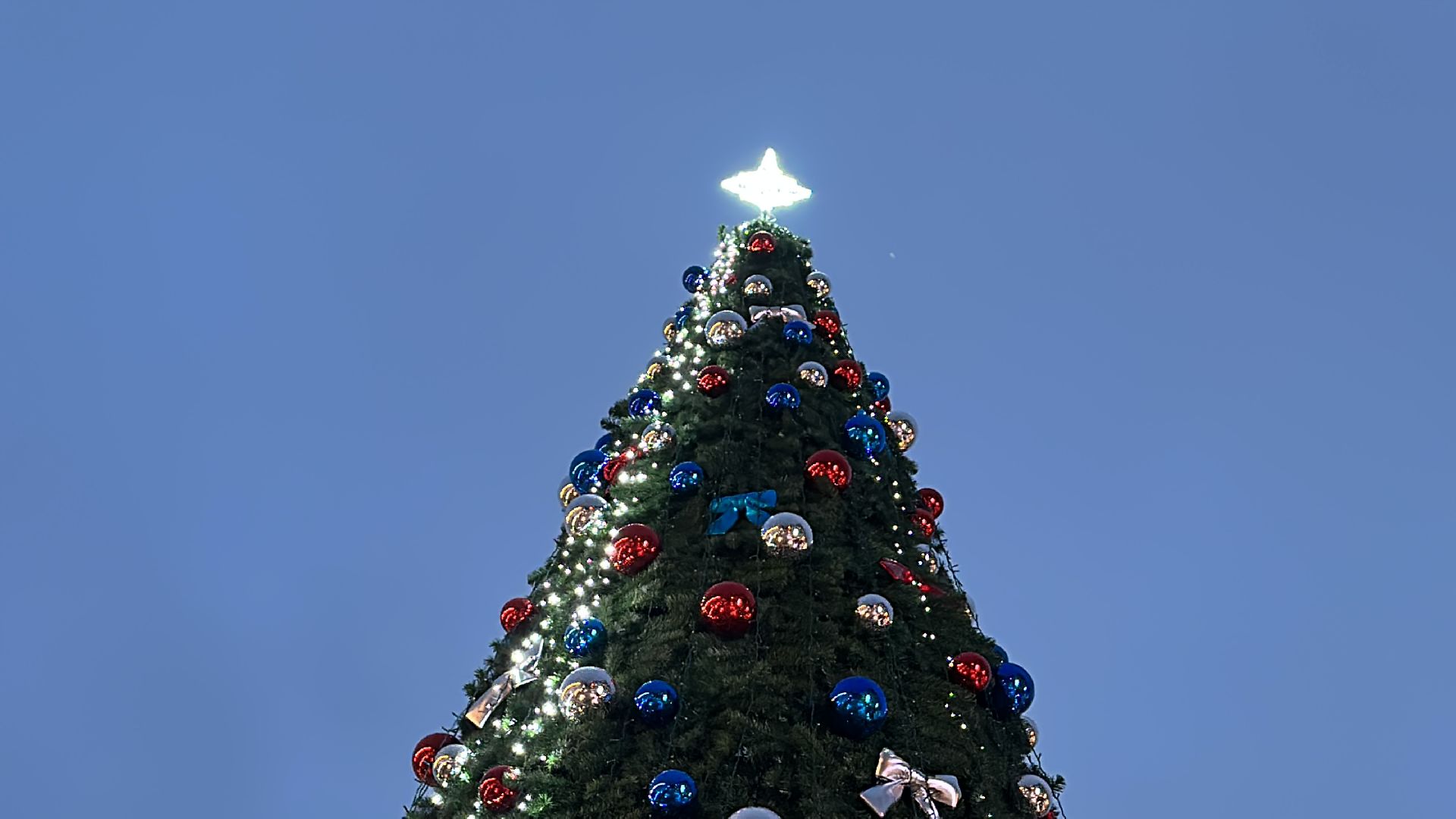 Звенигород, зима в подмосковье, главная елка,