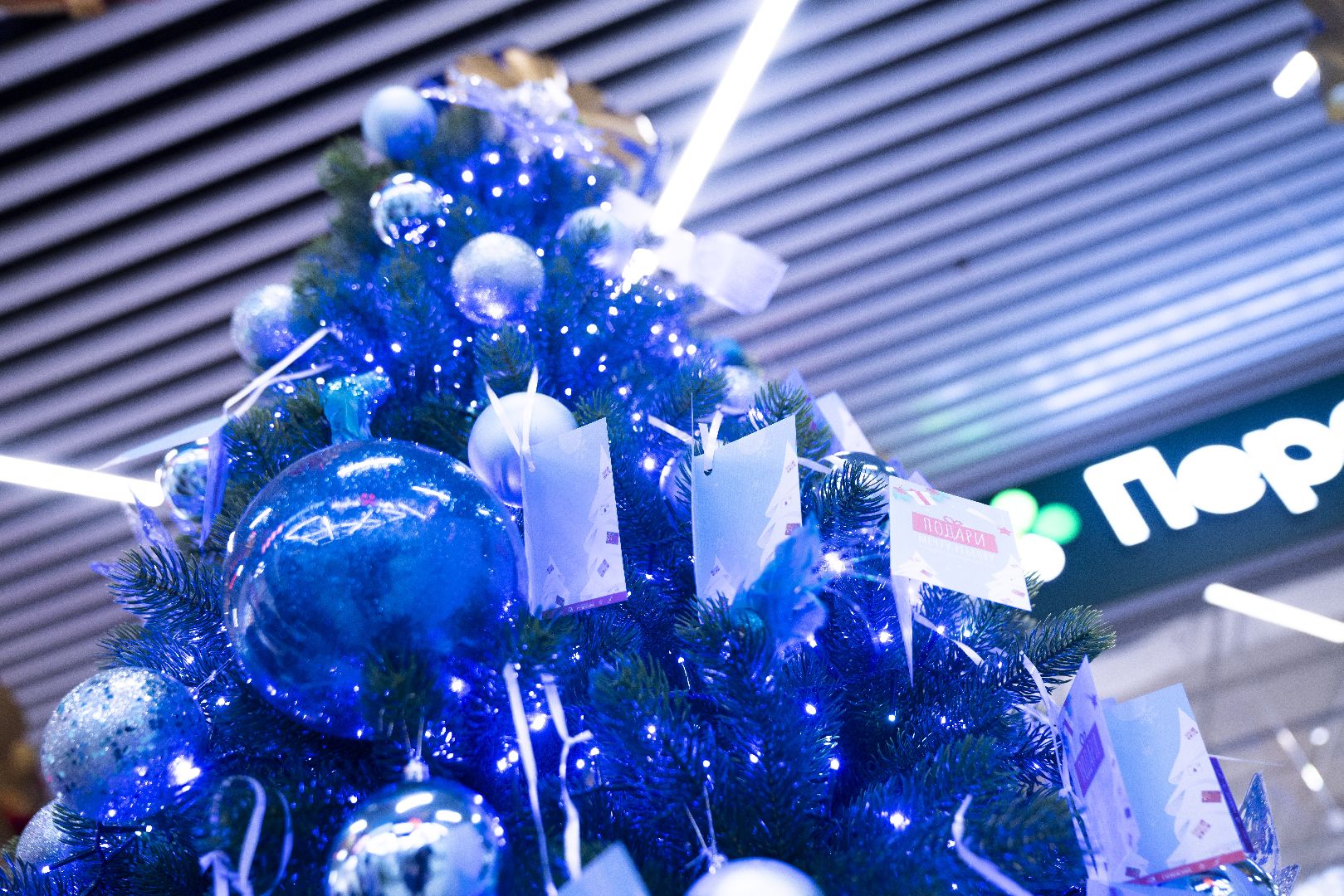 елка желаний, новогодние подарки, Домодедово,