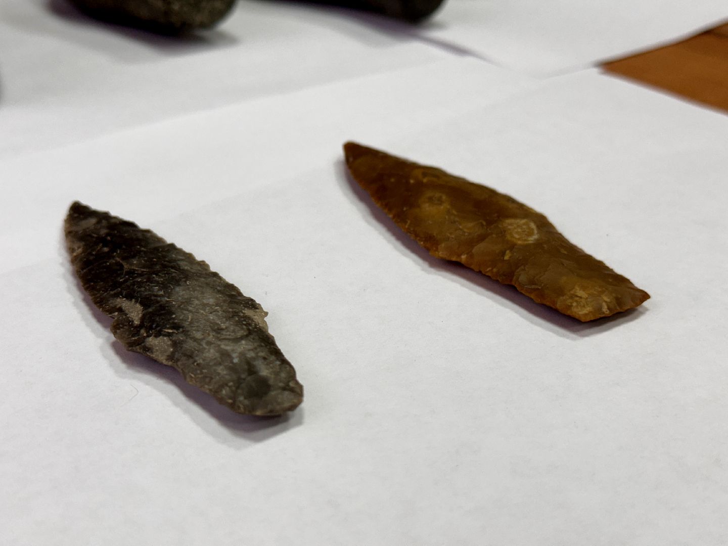 Клин, общество, музеи, история, краеведы,