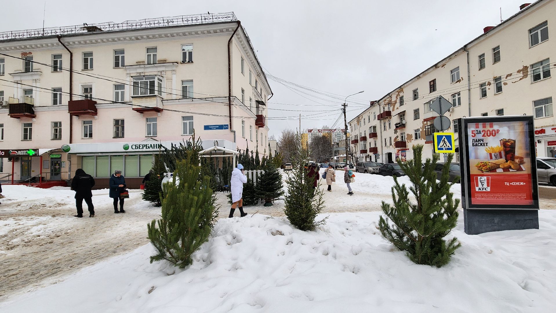 Солнечногорск, Новый год, Зима в Подмосковье, елочный базар, общество,