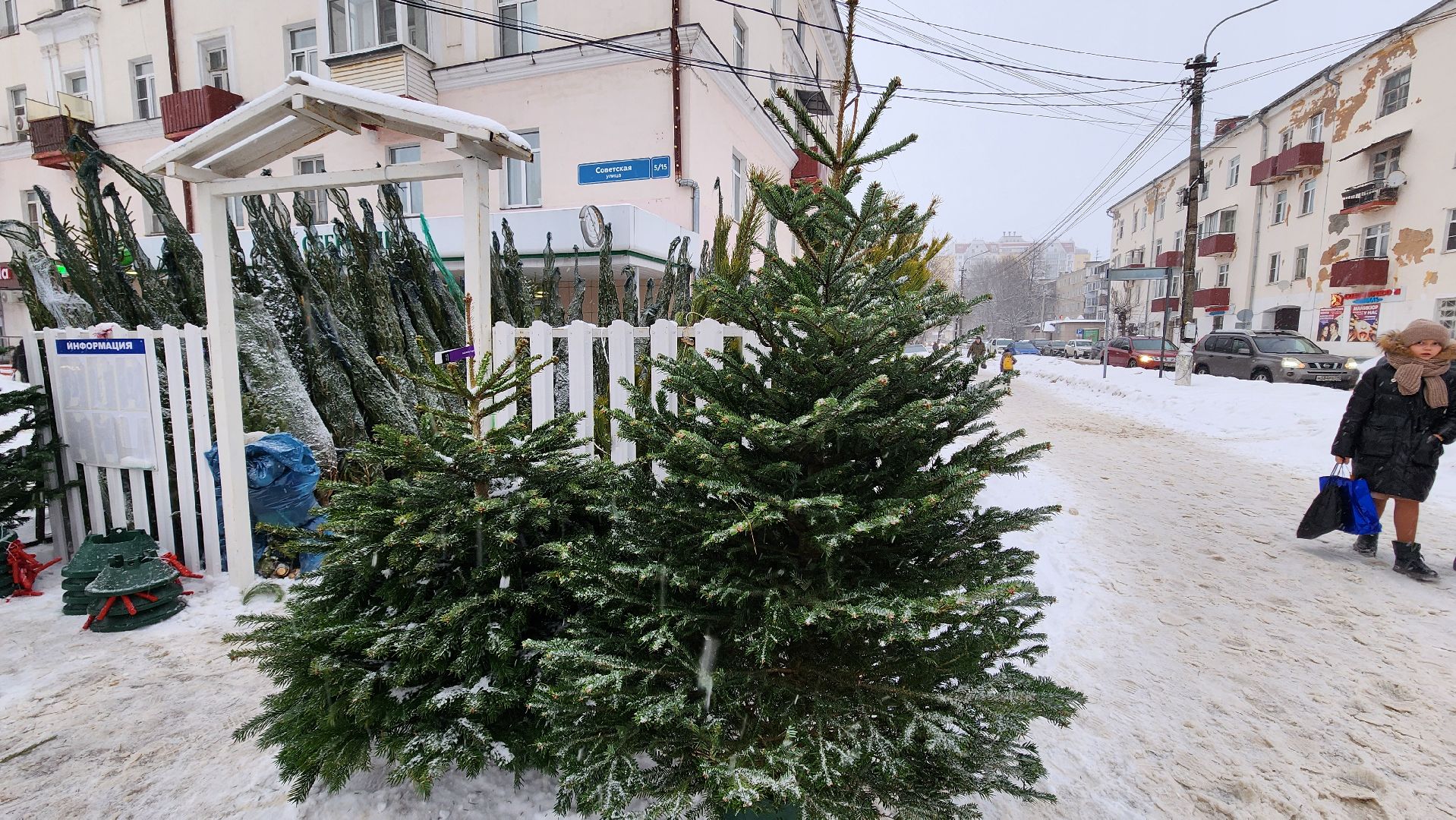 Солнечногорск, Новый год, Зима в Подмосковье, елочный базар, общество,