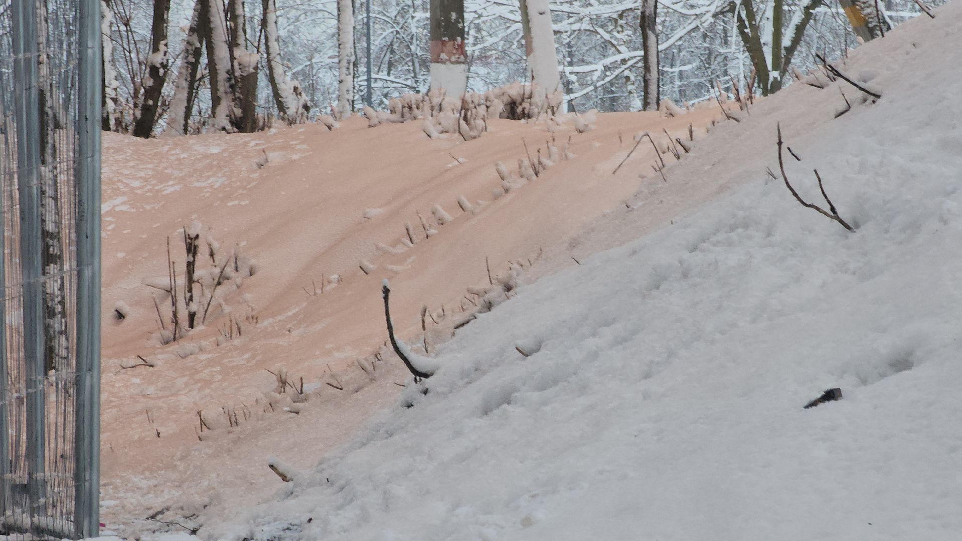 павловский посад, городского округ павловский посад, люди, дом, снос, строители,