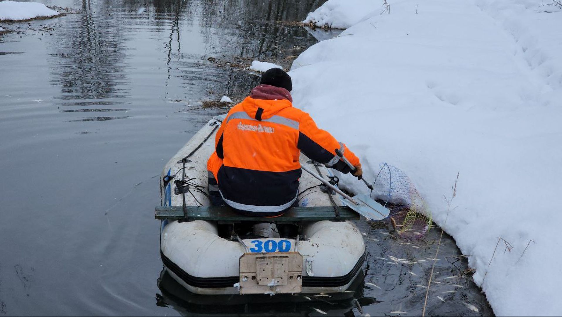 Мытищи, Замор рыбы, река Уча, марфино, Лысково, Минэкологии, Артур Суворов,