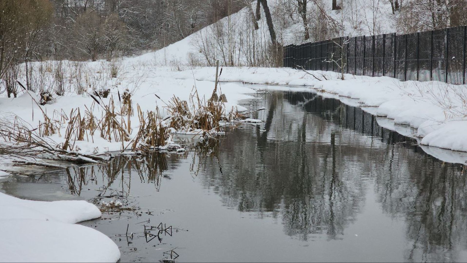 Мытищи, Замор рыбы, река Уча, марфино, Лысково, Минэкологии, Артур Суворов,