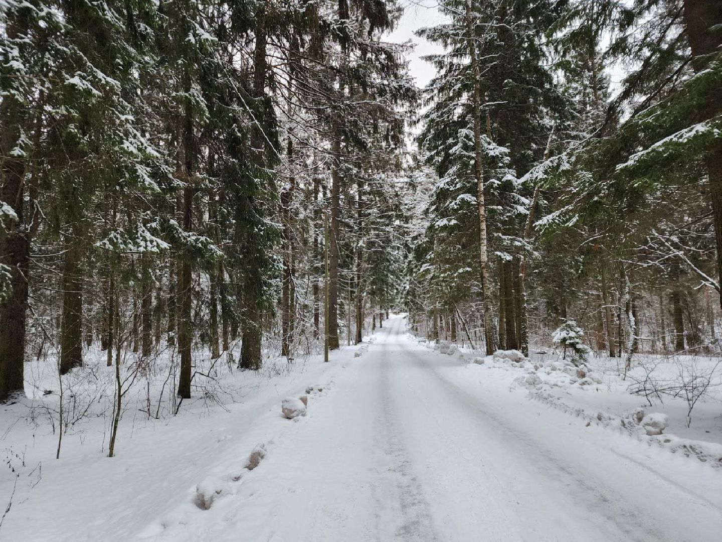 мытищи, экология, спасение животных, Алабай Хэлп, Река уча, марфино, лысково,
